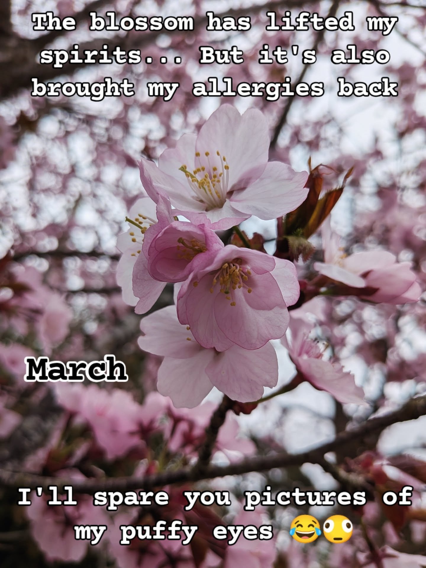 March has been a good month! 🌸🌞✨ 

I hope it has been for you too. If not, no worries, April is almost here! ❤️