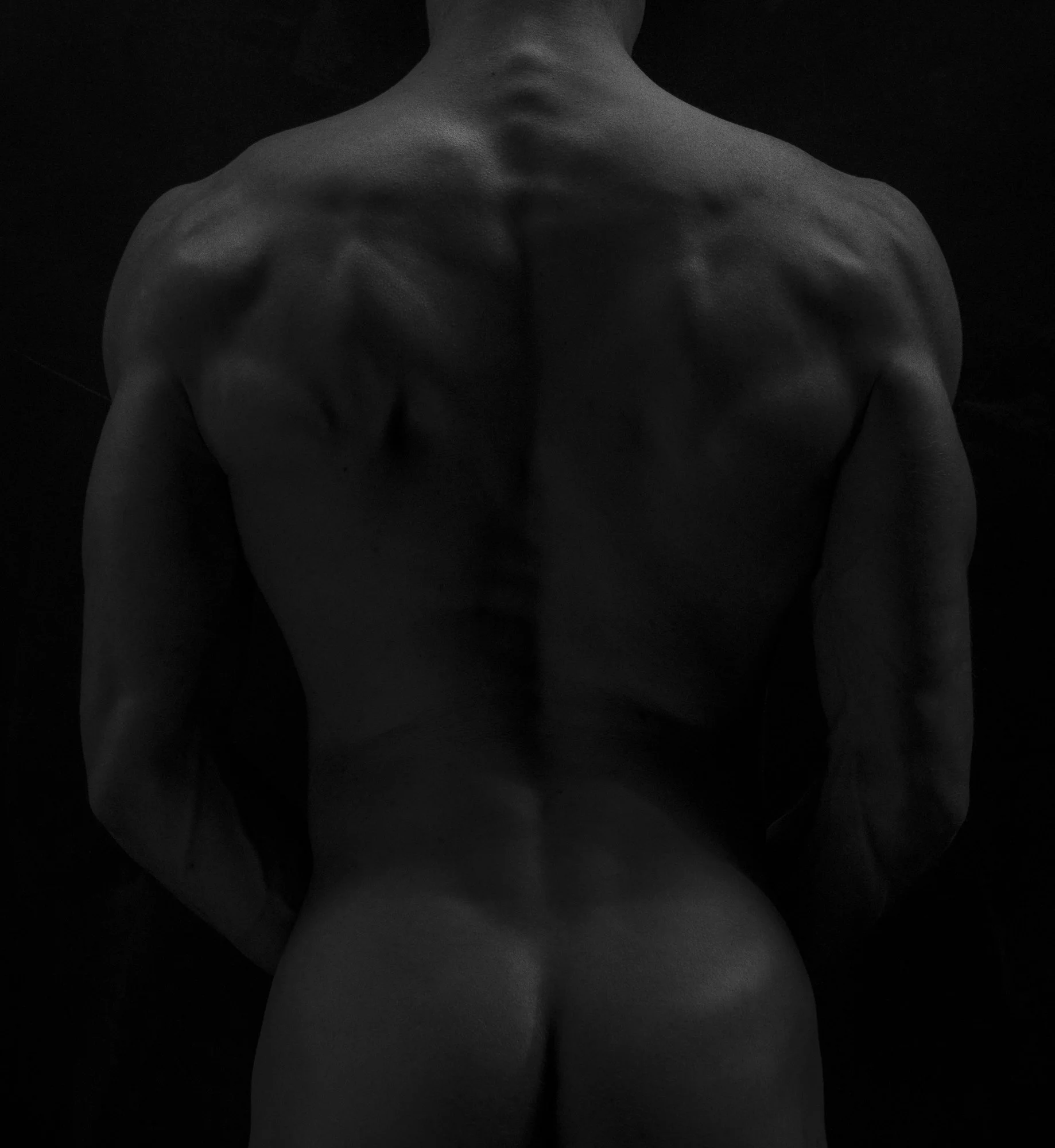 male back.jpg