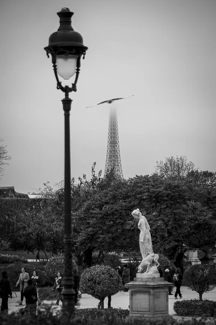 Tuileries Gardens, Paris, 2024.