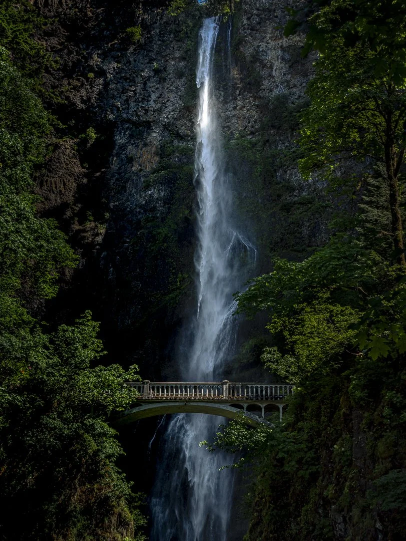 multnomah 02.jpg