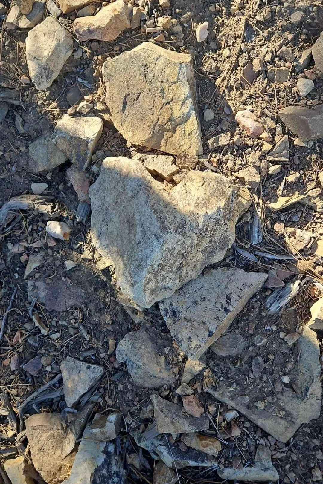 "My daughter sent this from Big Bear, California." - Randy Montoya of New Mexico