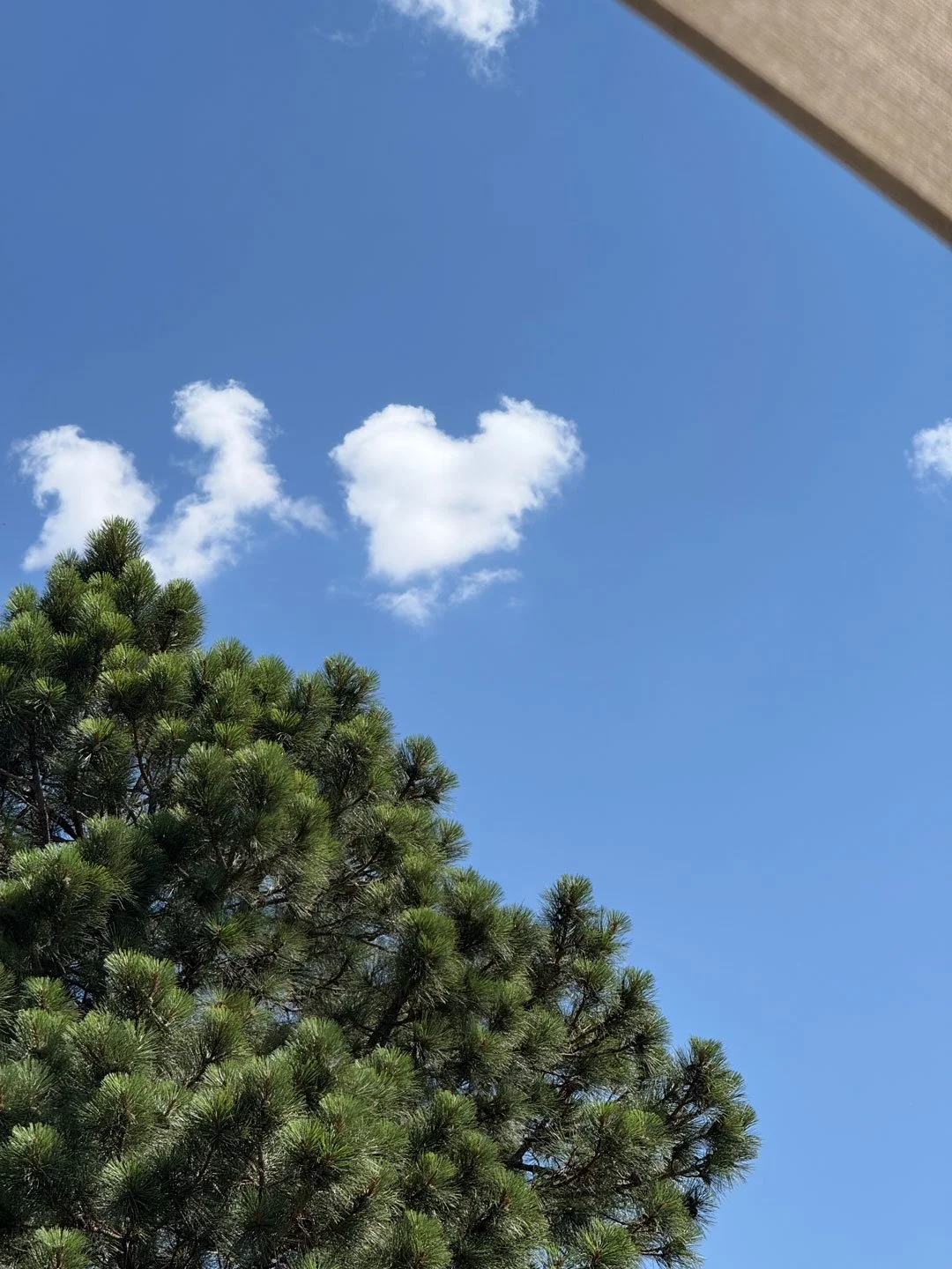 A heart cloud captured in my backyard while relaxing under an umbrella with my mom on our deck.