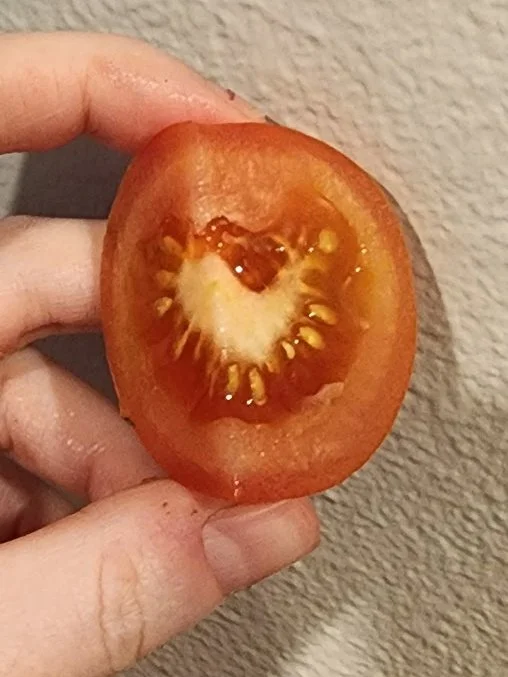 Tomato heart captured by Chelsea Haining of Washington.