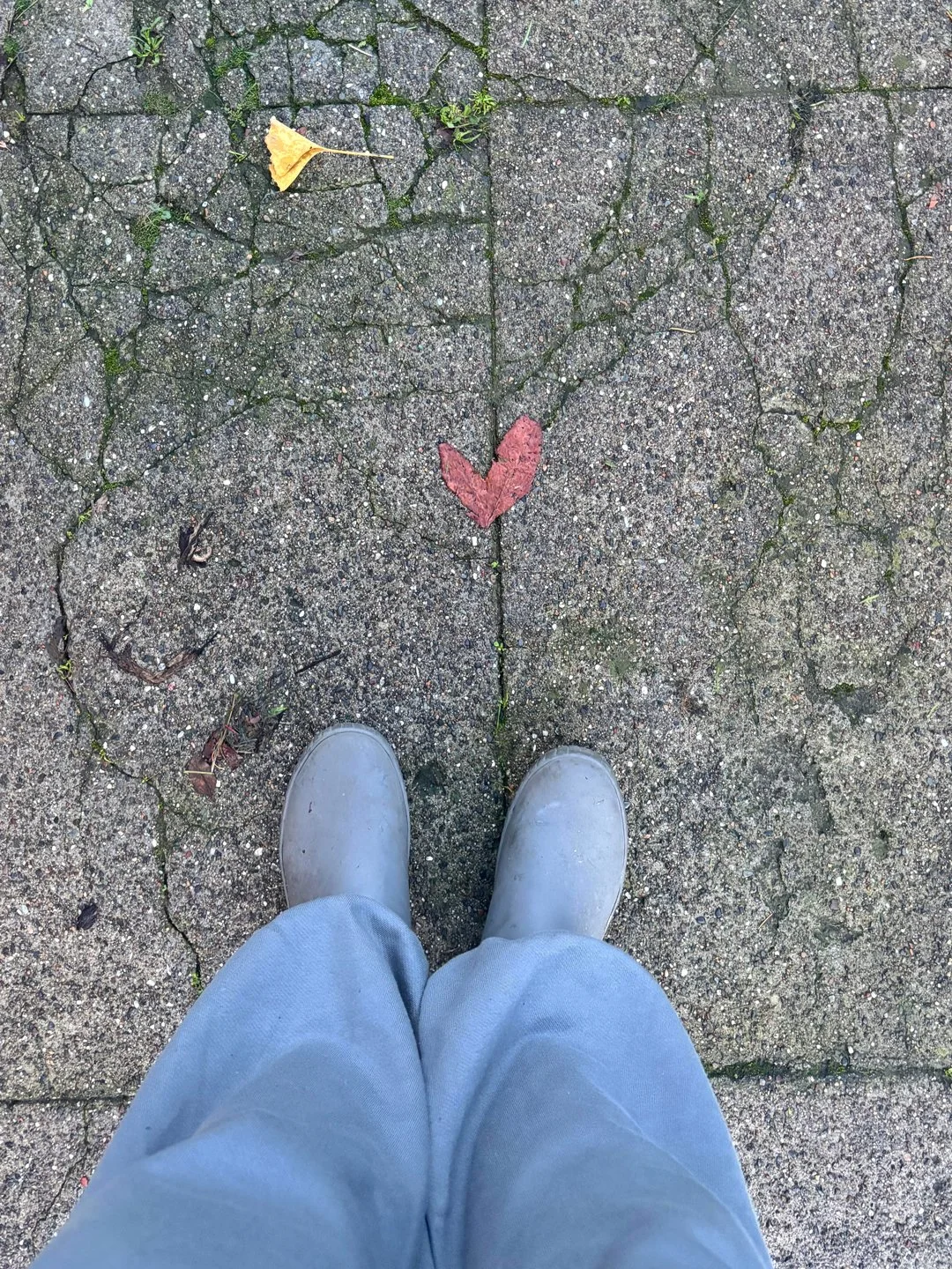 "Merry Christmas!" - Jenn Capitelli of California