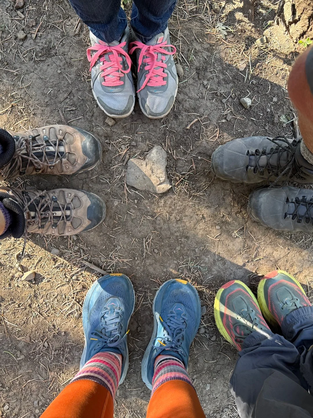 Tree Springs Trail in Albuquerque with old friends and a new one.