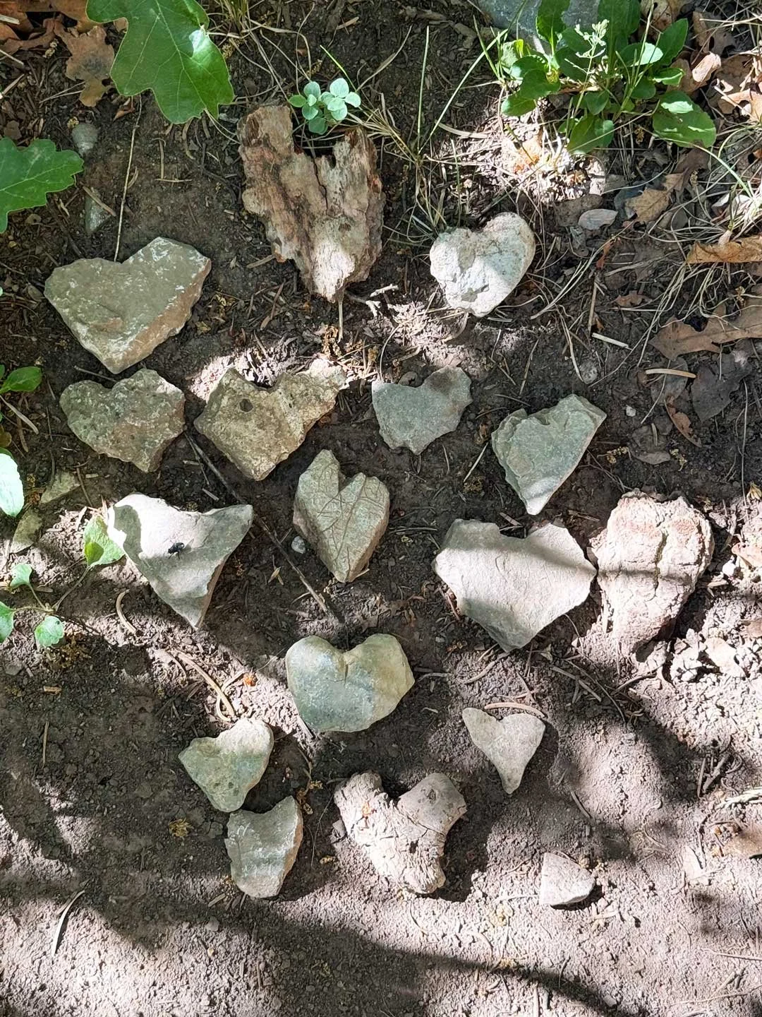 Travis, our niece Macie, and I found lots of heart rocks hiking. We placed them at a a trail intersection. Maybe other hikers will add to the collection.
