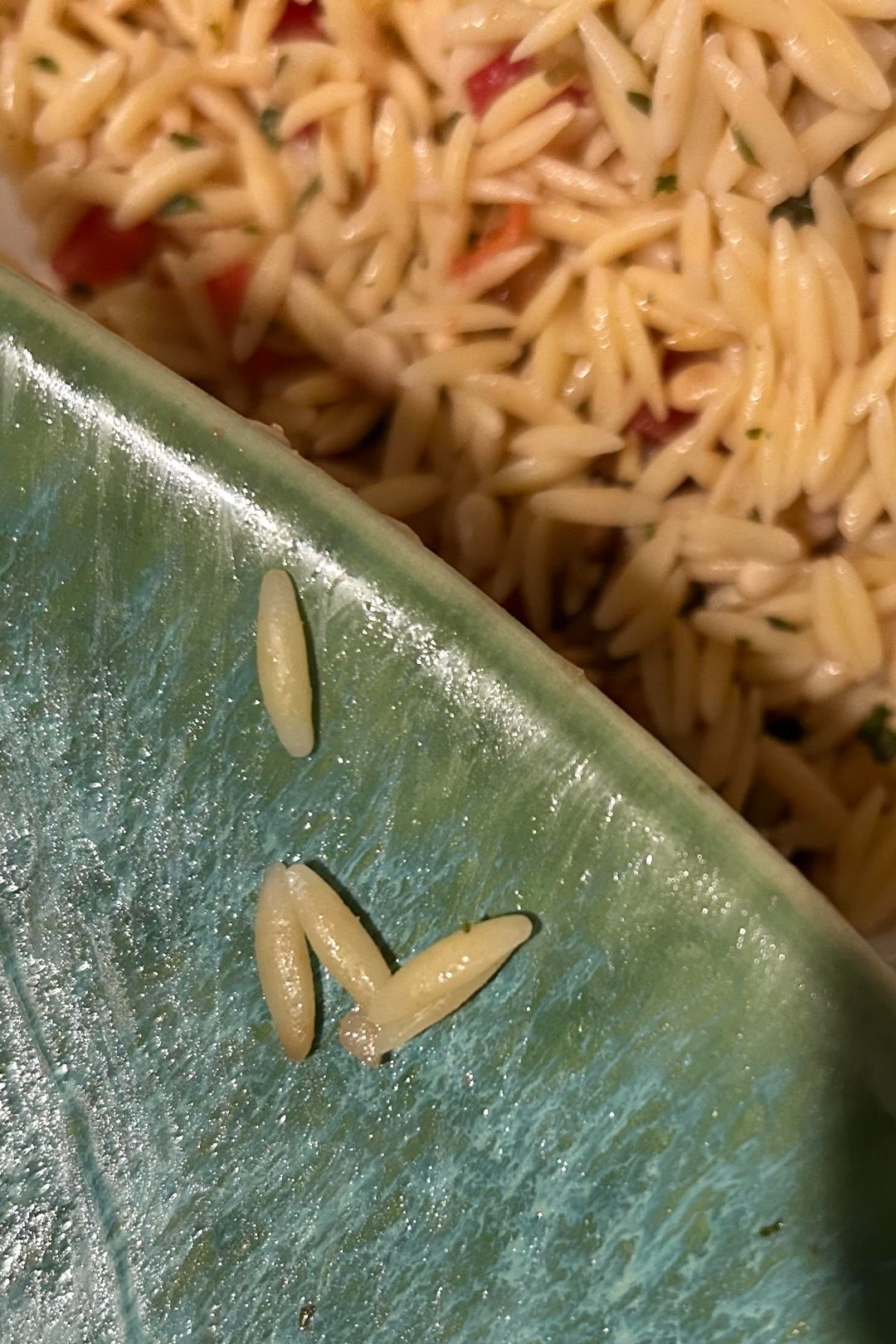 “An orzo pasta heart refuses to leave the bowl for the Tupperware, clinging onto the last fancy memories of a dinner party evening.” - Brittny Goodsell
