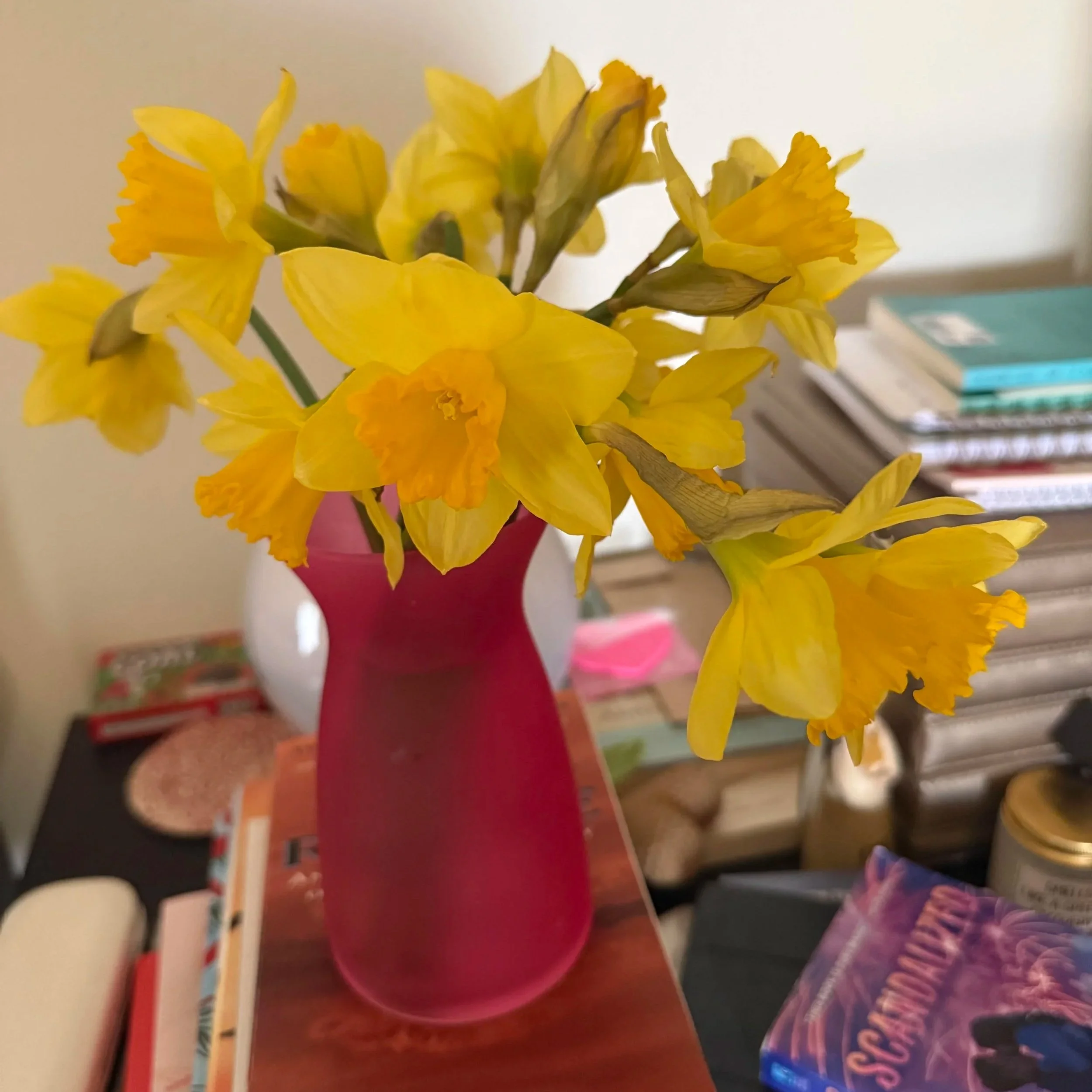 Radiation Reflection, Weekend 1, Saturday