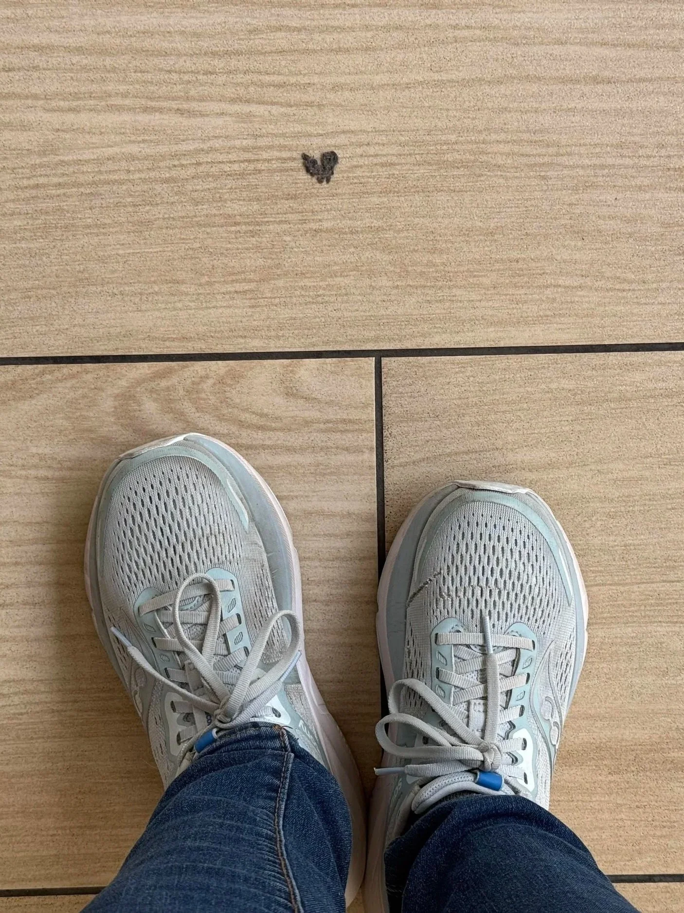 Following my first radiation treatment, I went to See's Candies and bought a box of chocolates so that I could count down the appointments by eating a truffle each day. I saw this heart on the mall floor outside the chocolate store.