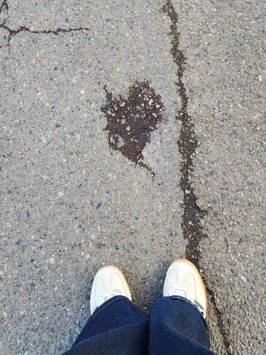 Chelsea Haining captured this sidewalk heart in Washington.