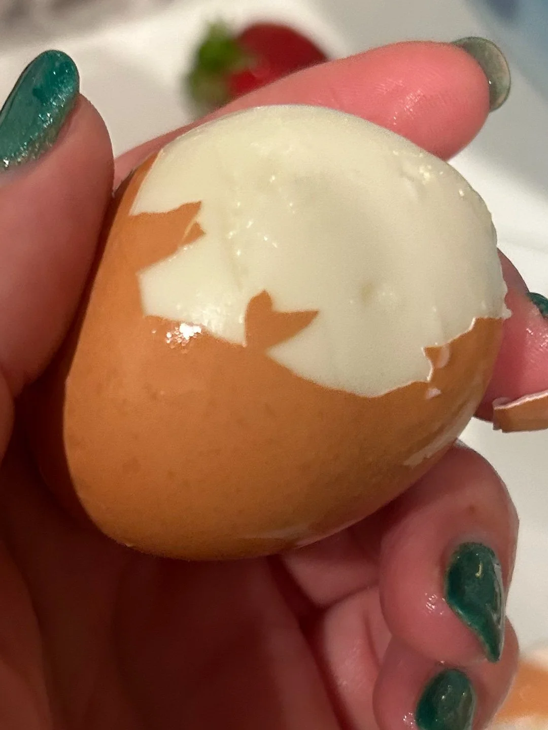Egg shell heart captured by Brittny Goodsell of Washington.