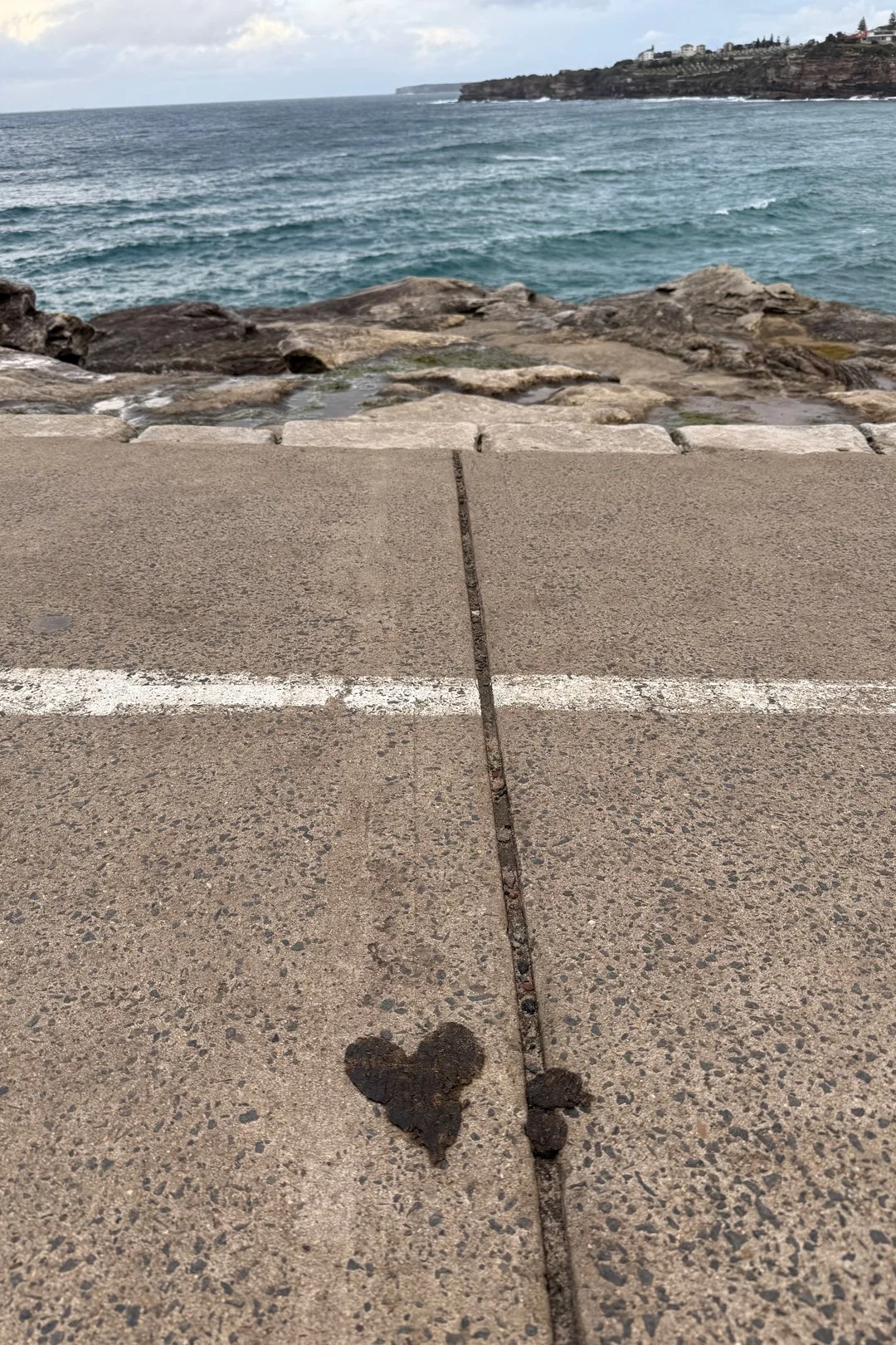 Perfectly-shaped heart (probably made of something gross!) on the Coogee to Bondi Beach Coastal Walk.