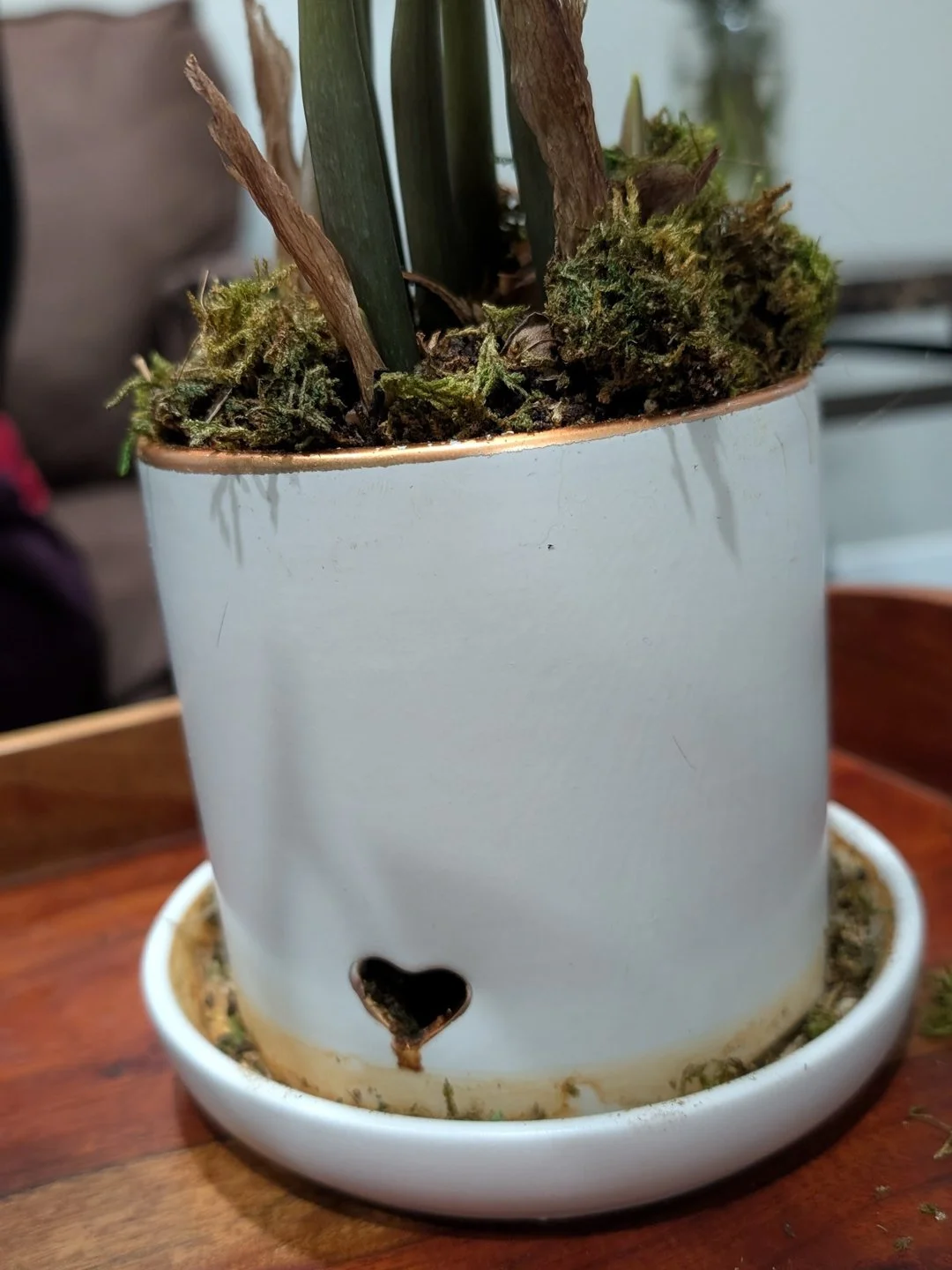Chenelle Houston saw this heart on a flower pot at her neighbor's house in Utah.