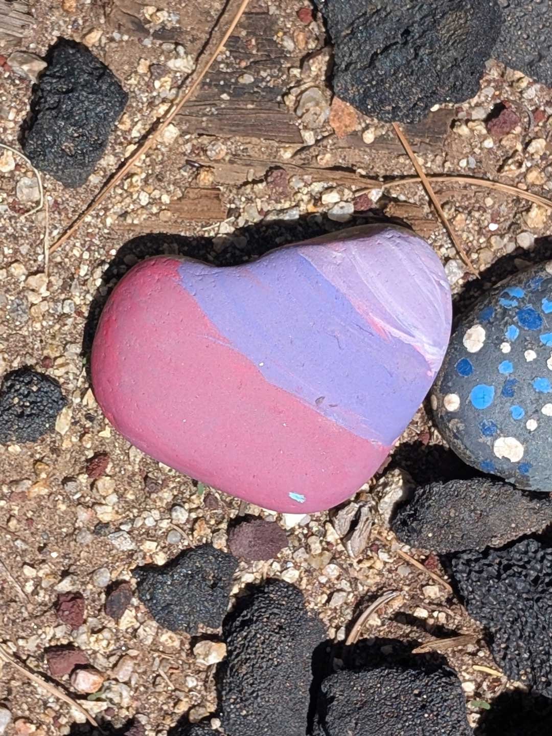 My mom and I captured this painted heart rock during a walk in my neighborhood.