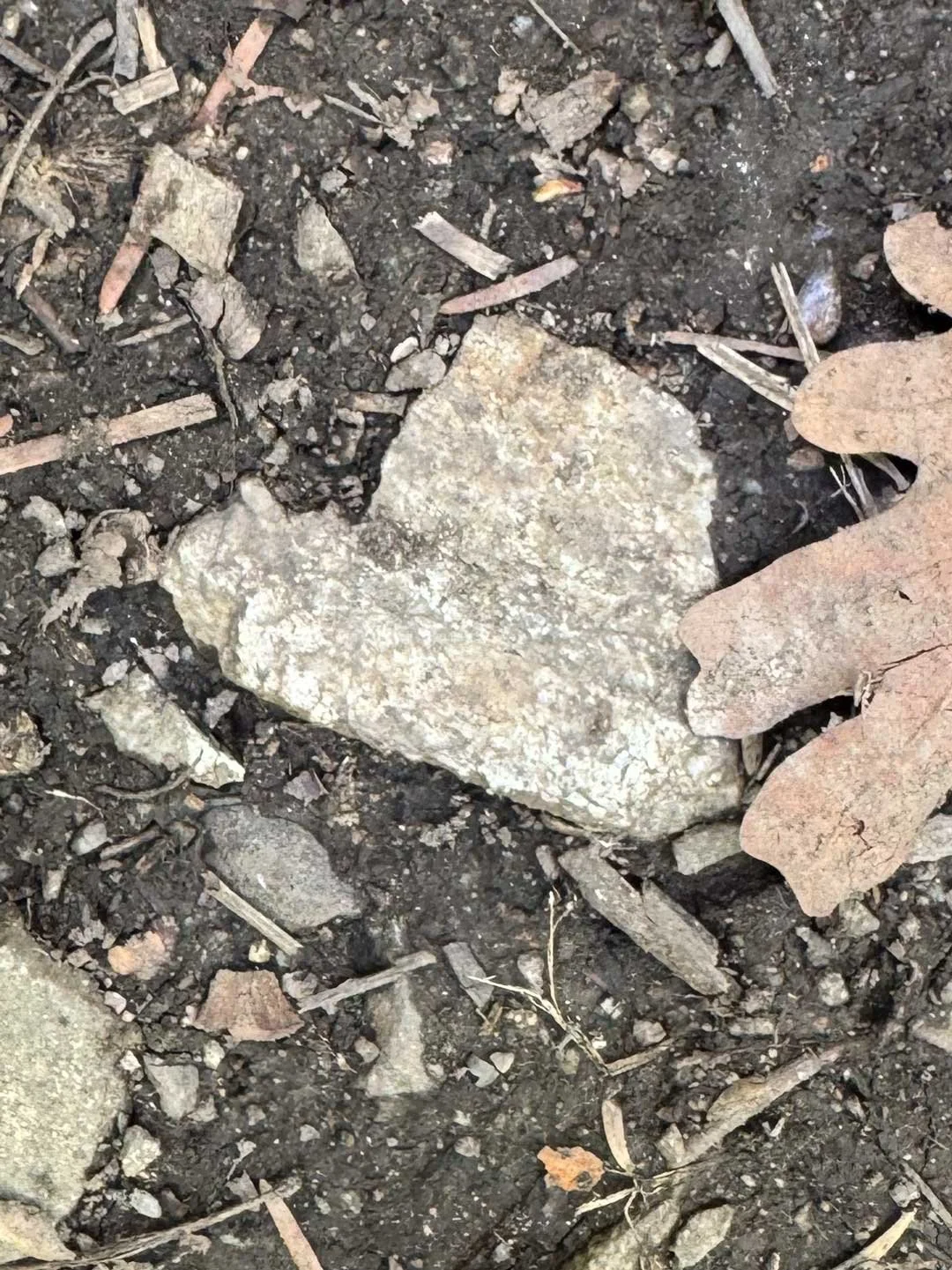 Julie Farley Majoue captured this heart rock in Utah.