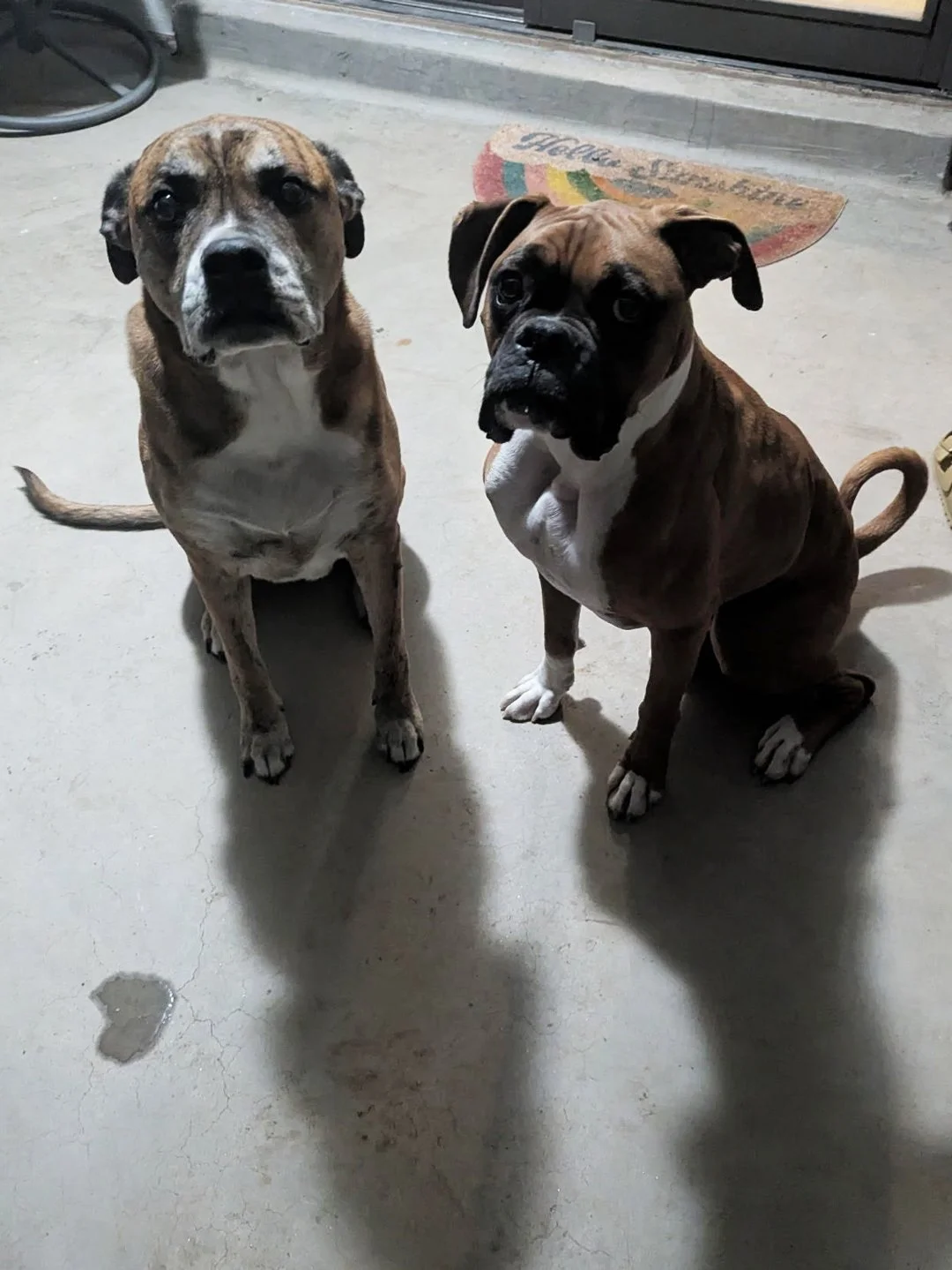"First snow of the season heart." - Travis Fisher of New Mexico