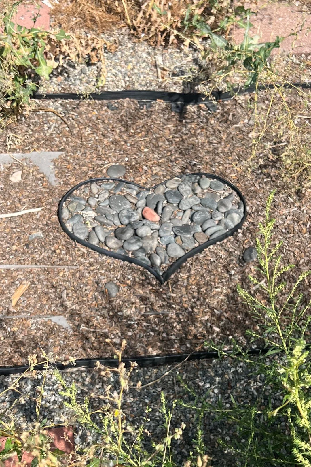 Heart spotted and captured in Denver, Colorado, by Alicia Sayer.