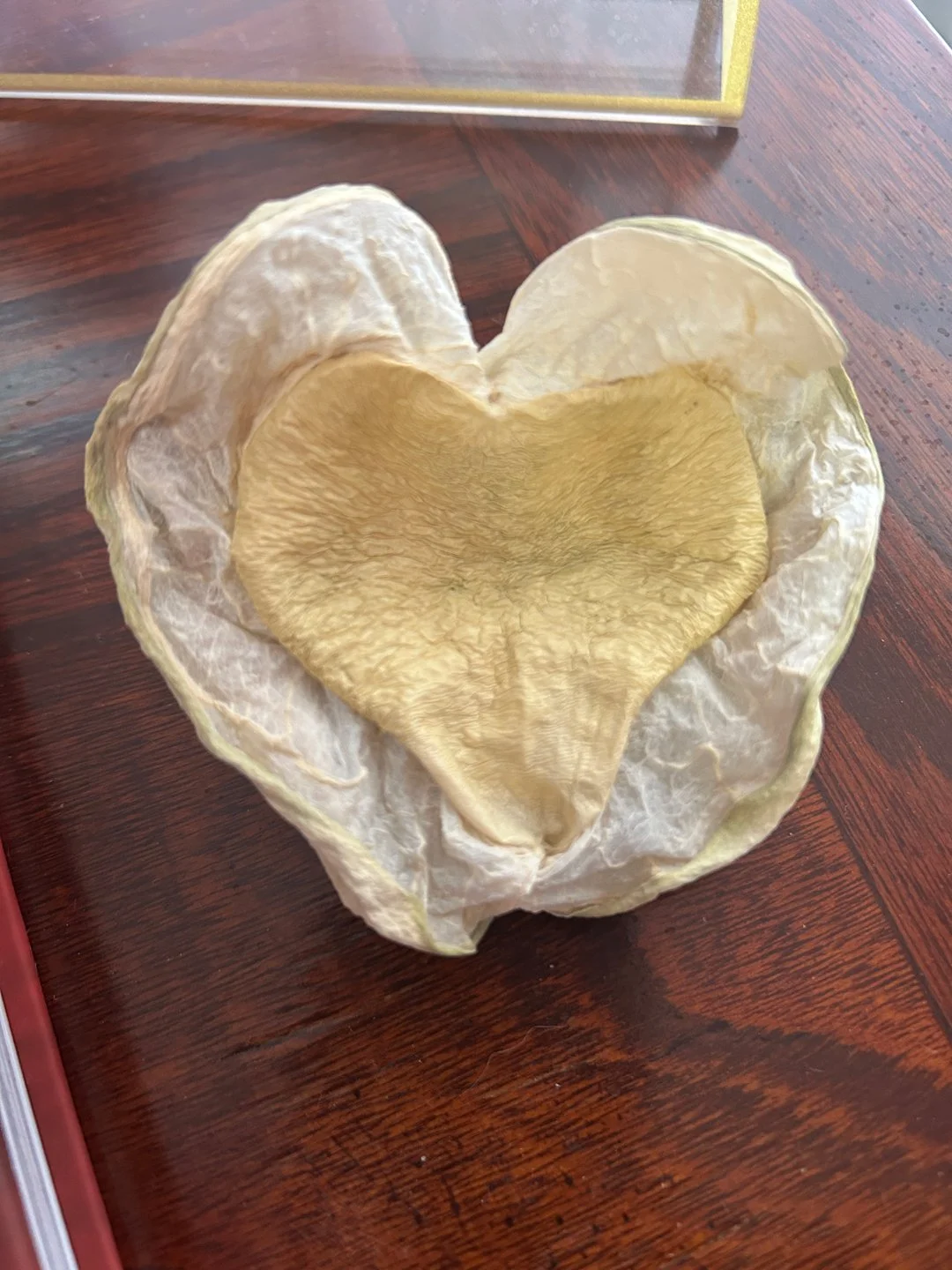 Heart-shaped crown flower seed captured by Tekla Johnson in Phoenix, Arizona.
