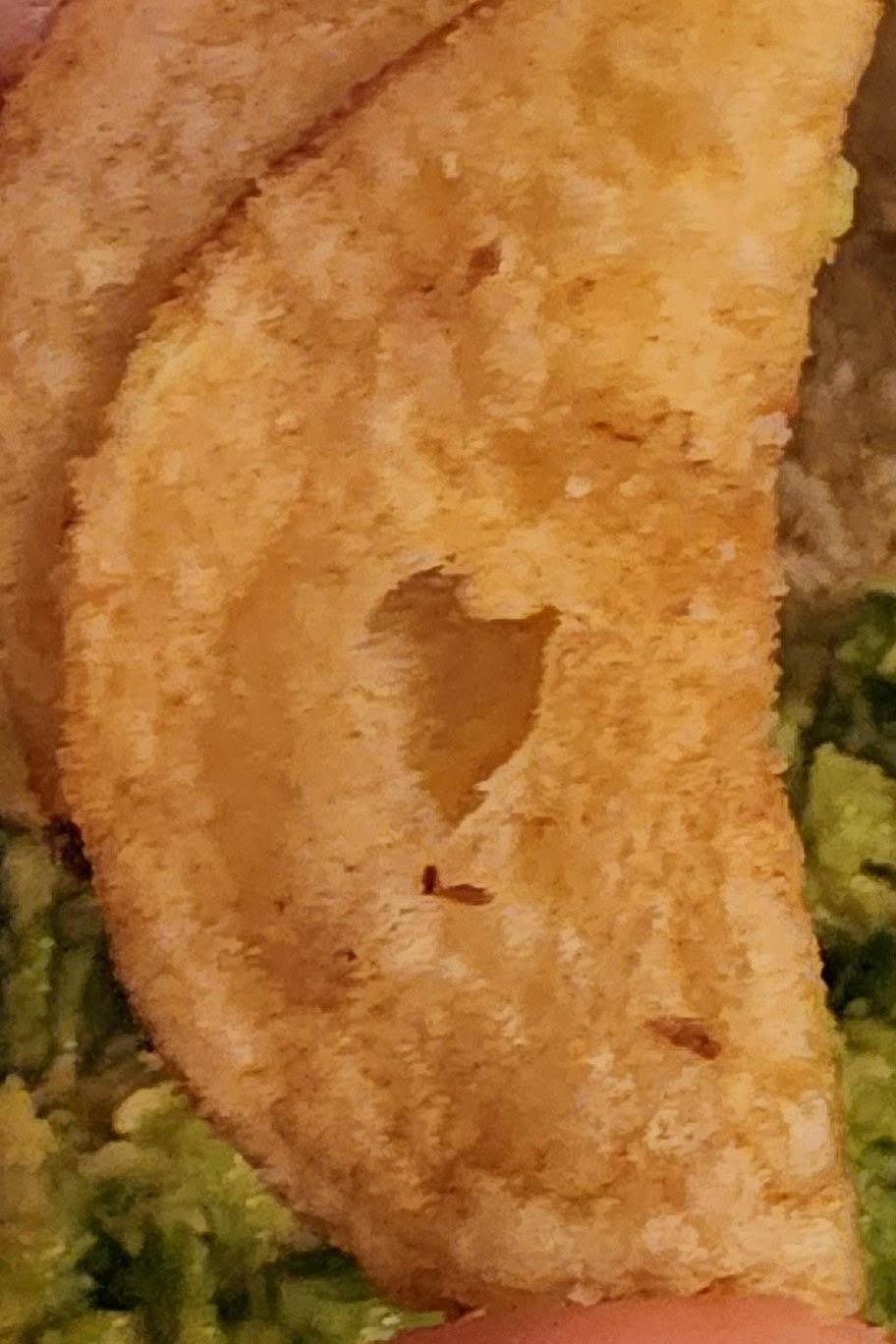 Chip heart captured by Chelsea Haining of Washington.