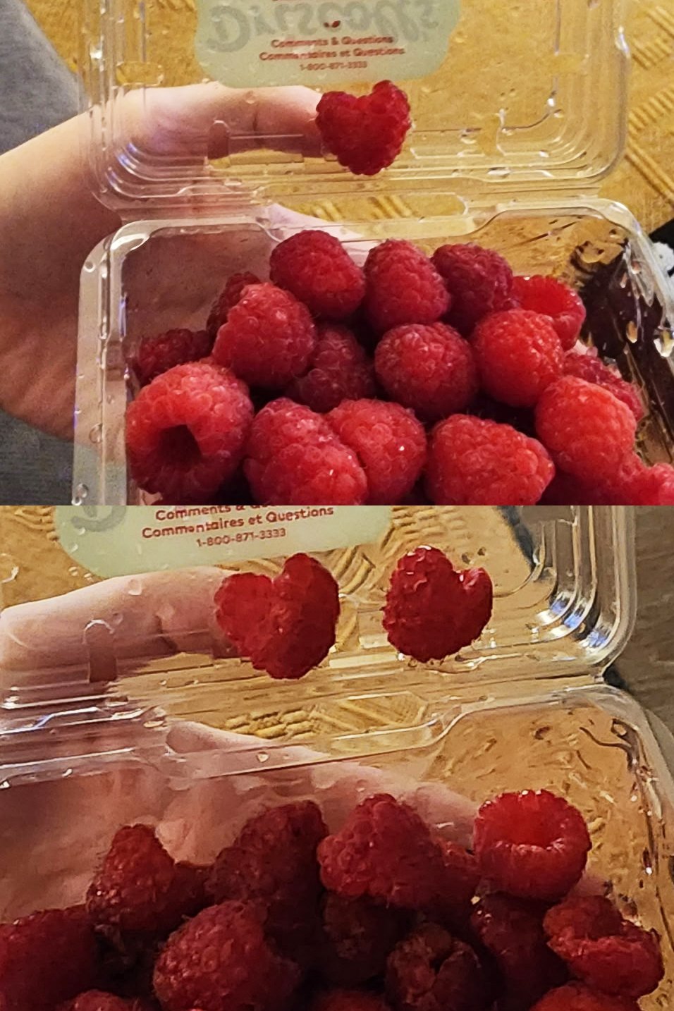 Raspberry hearts! Chelsea Haining said, "First there was one, then there was another one."
