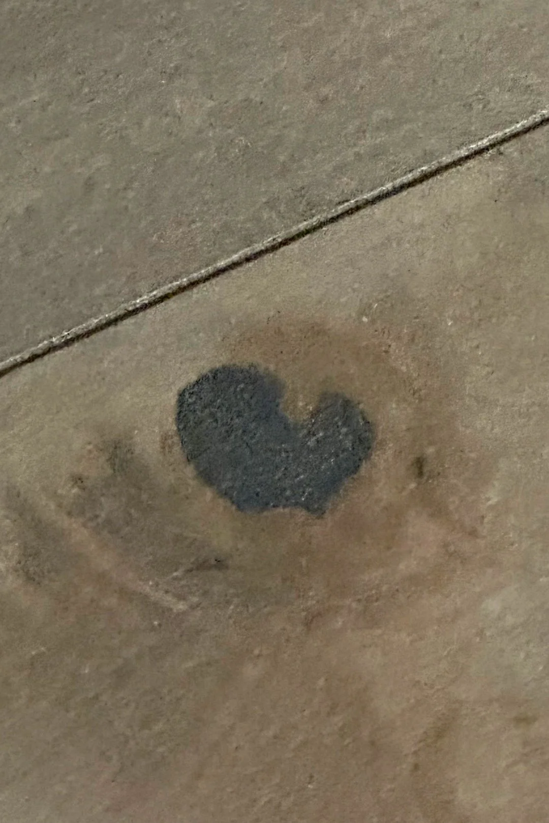 "The wood floor is in my house. Emma discovered the heart. We were building the house when my dad died, so I’d like to think he placed it there just for me." - Julie Farley Majoue of Utah