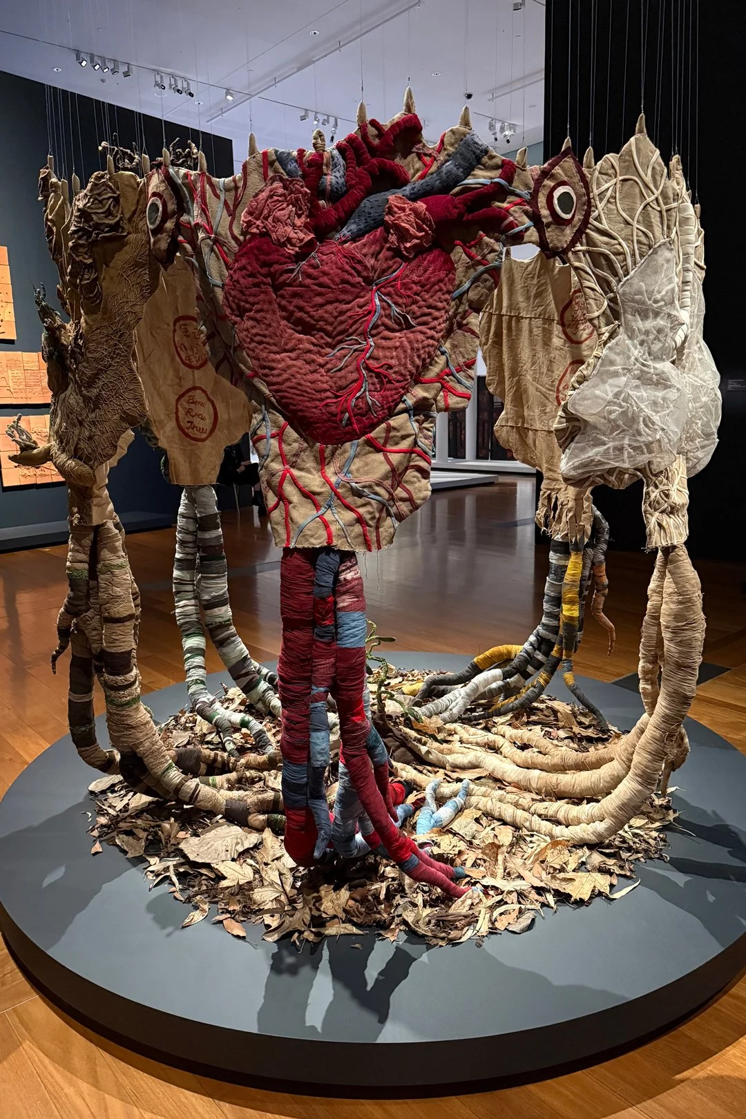 An anatomical heart as part of an art piece I appreciated at Brisbane's Gallery of Modern Art.