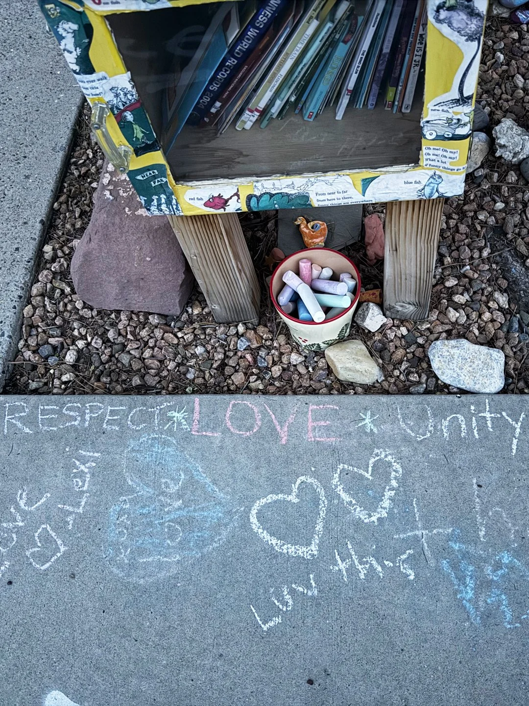 My neighbors have the cutest Little Free Library. The chalk messages change often. I loved the love here one day!