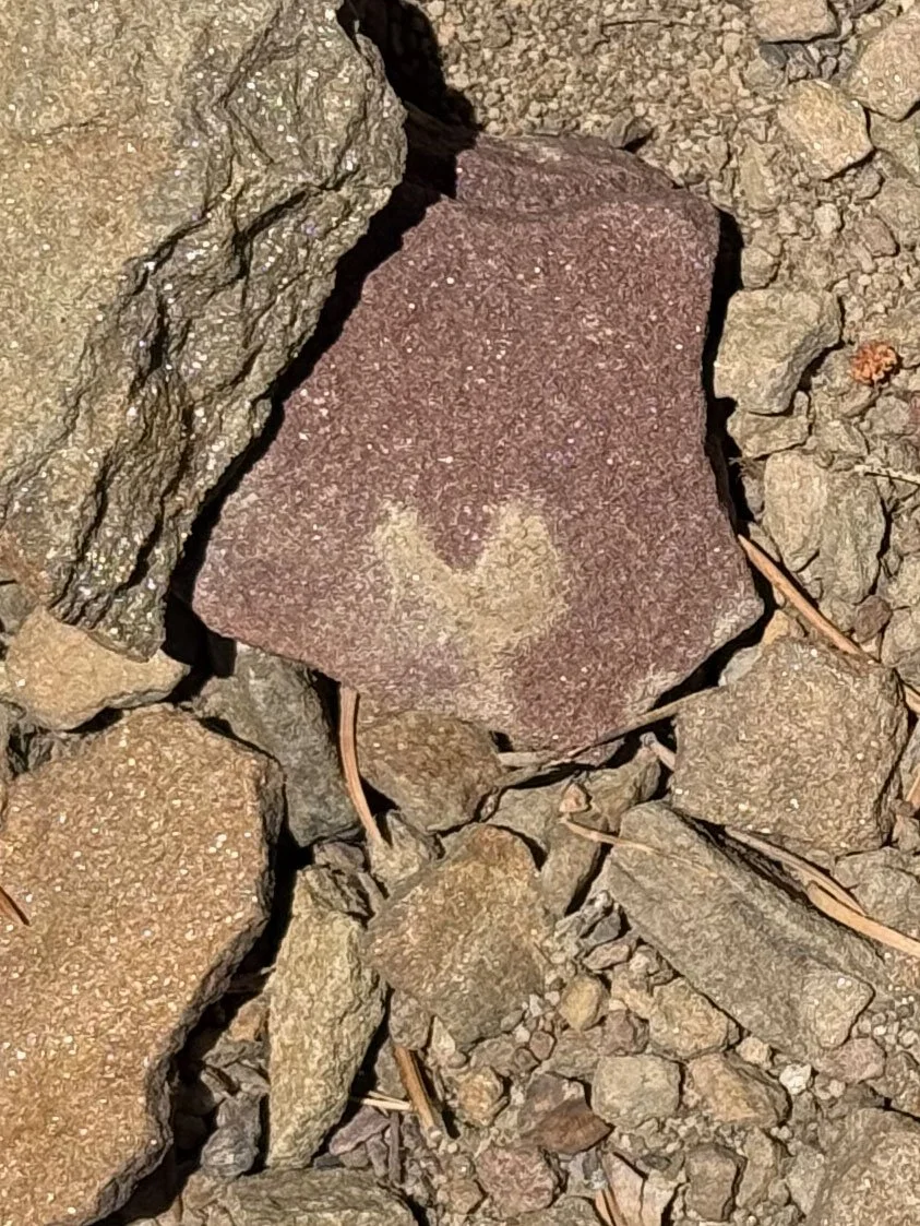 I spotted this dirt hike in the Sandia Mountains while hiking with my friend Ruth.