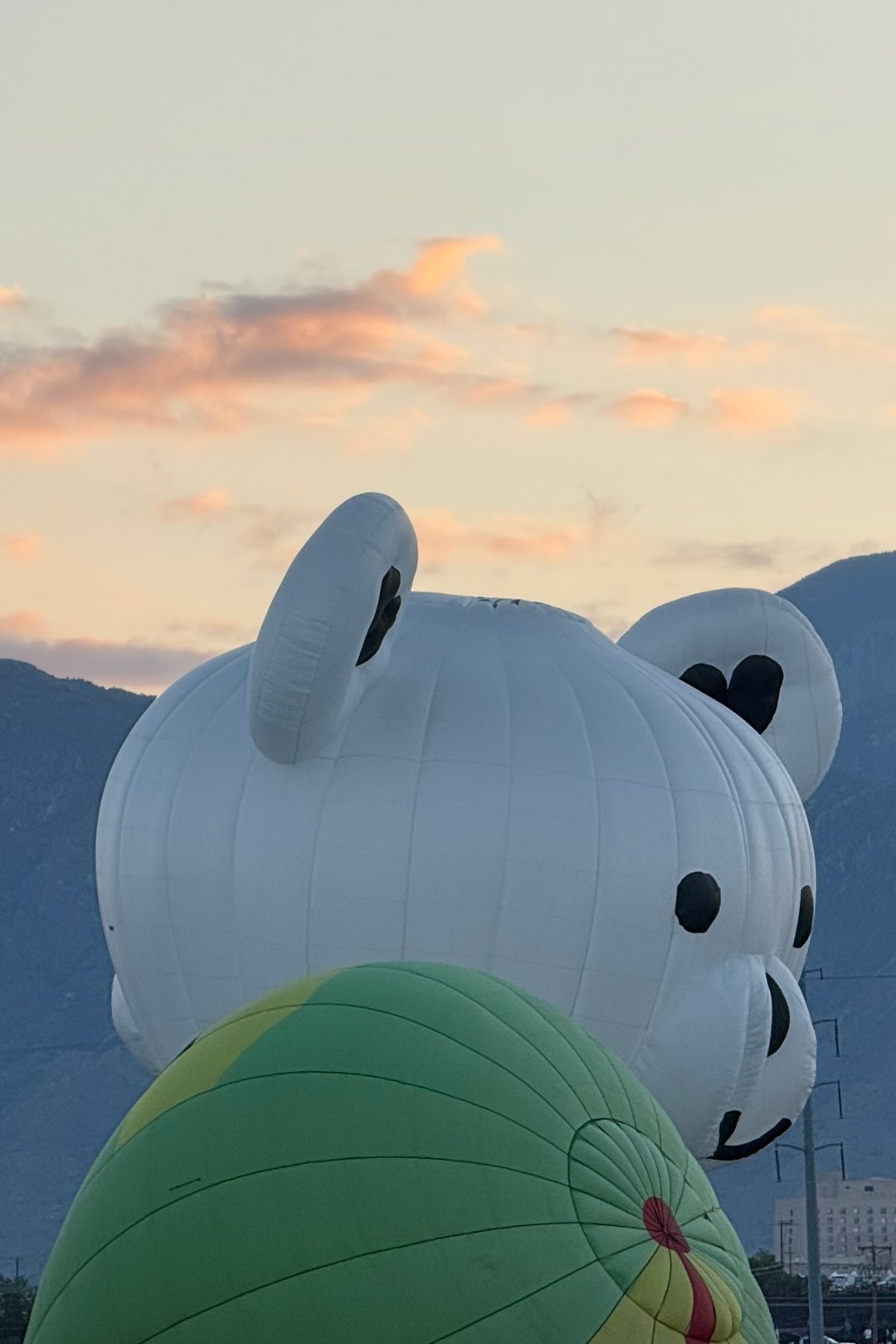 Cute bear hot air balloon with heart ears!