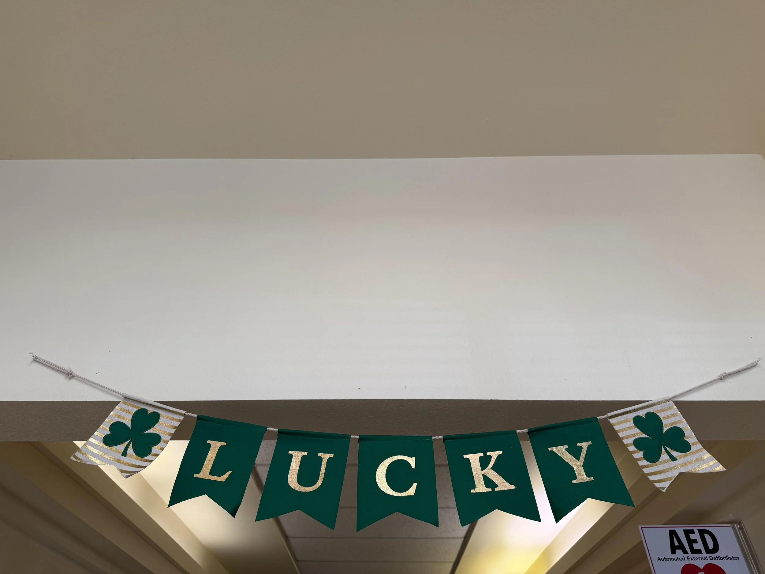 Radiation Reflection, Day 2