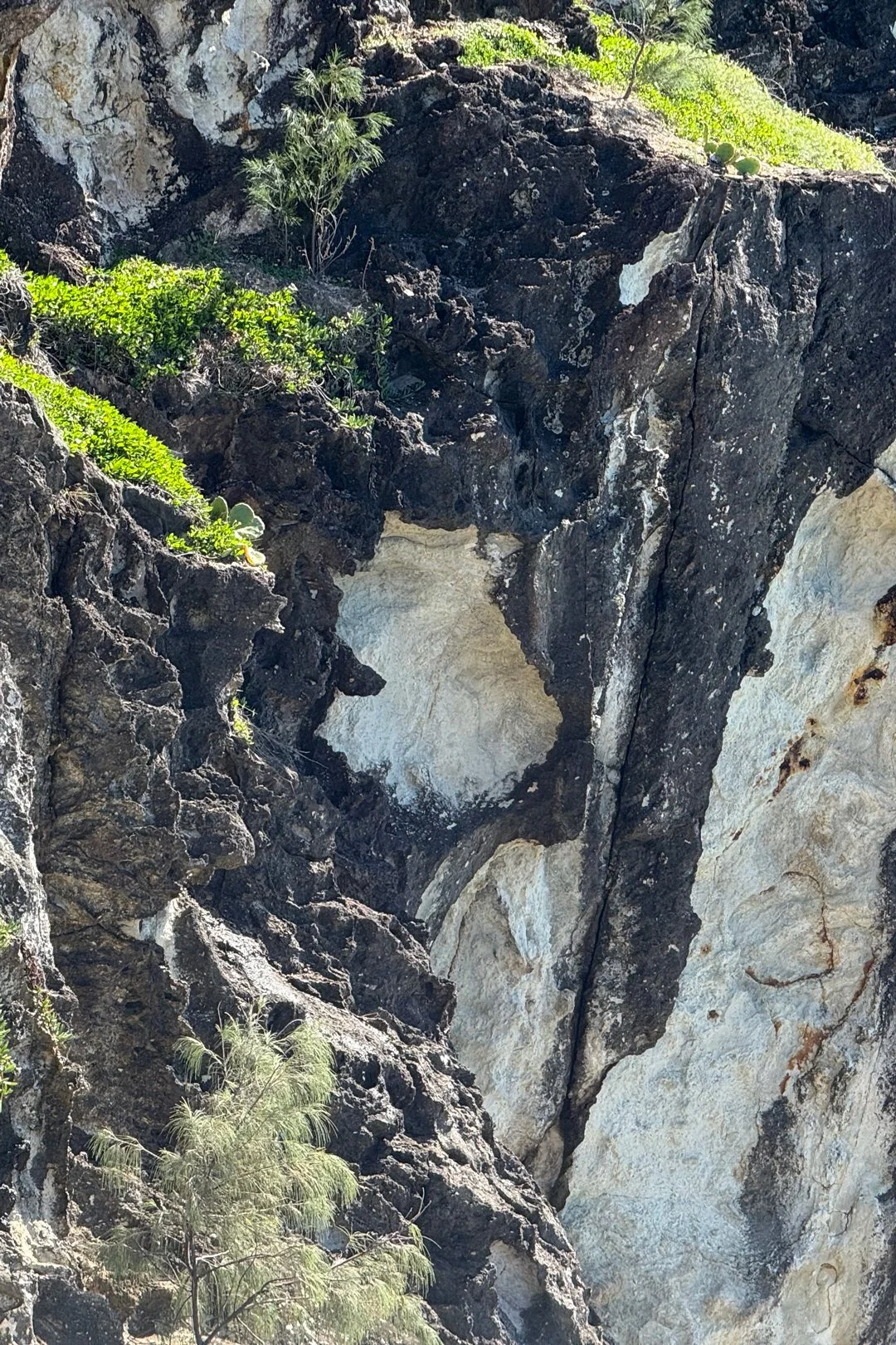 Sideways heart on a Stradboke Island cliff.