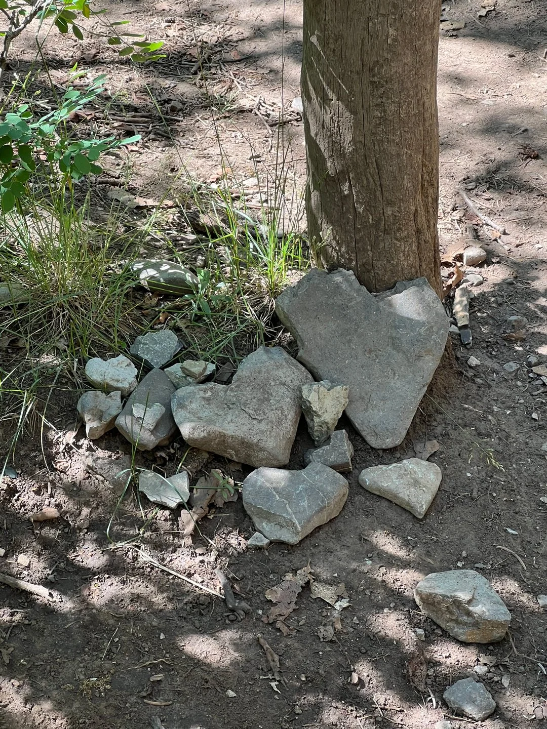 A group of us found and placed hearts on the Tree Springs Trail in July.