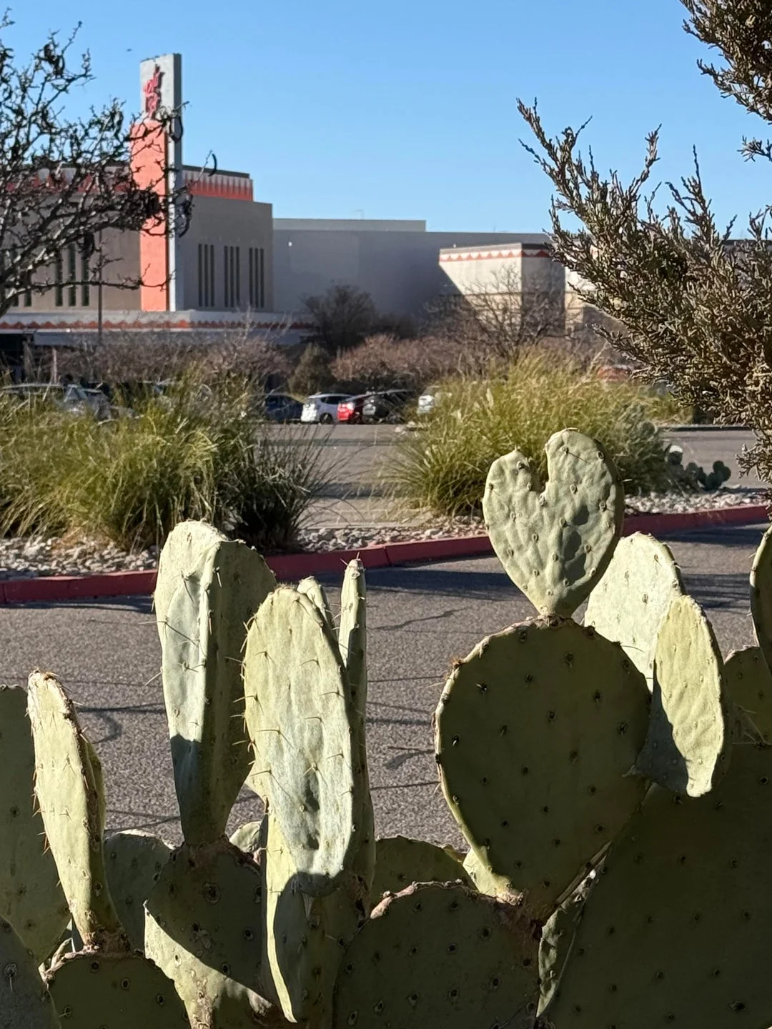 My mom came to visit in January and we went to the movie "Song Sung Blue." We captured a photo of this cactus heart after the show.
