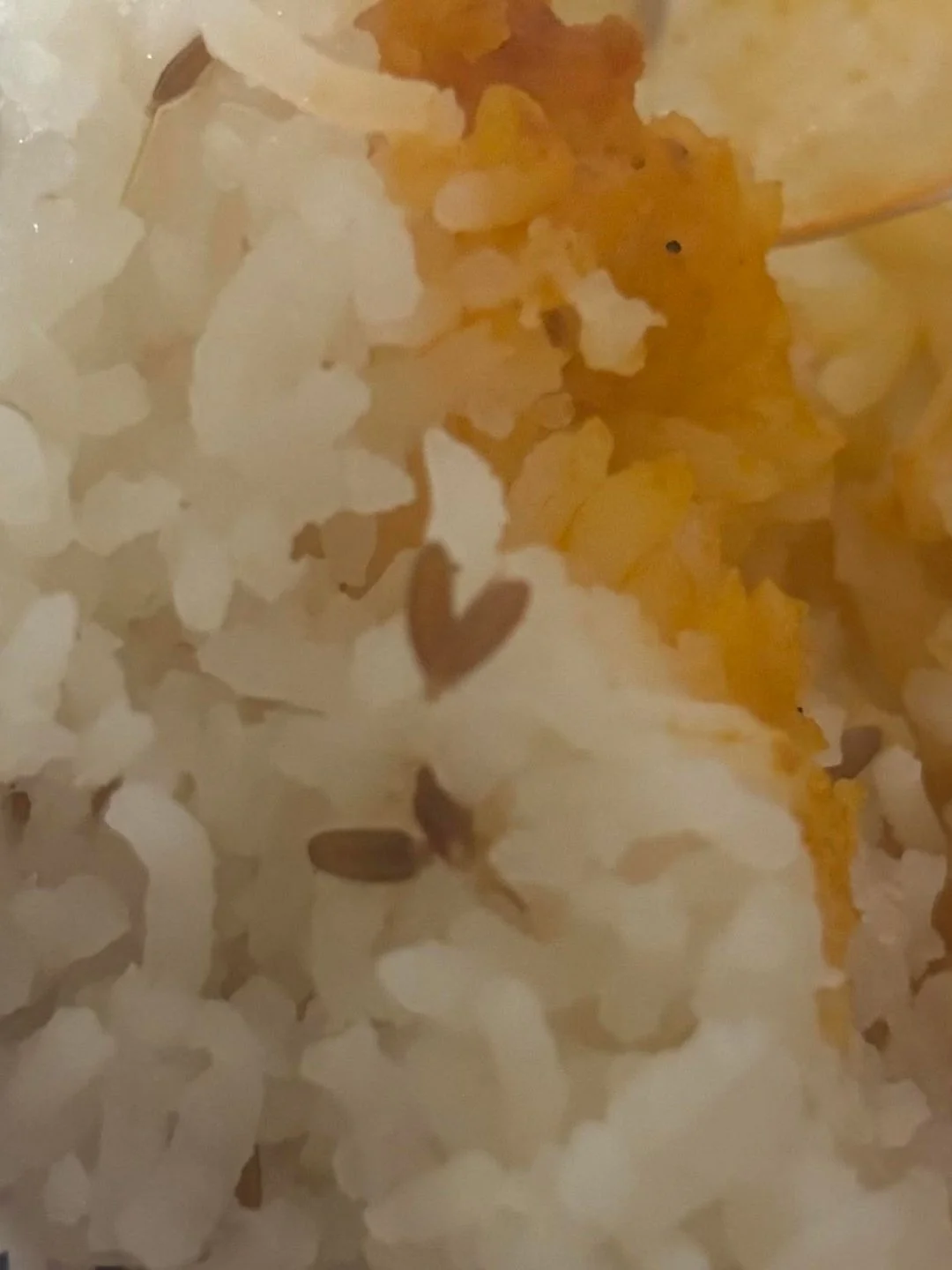 "Cute little heart on my Indian food leftovers!" - Melissa Newbold of Utah