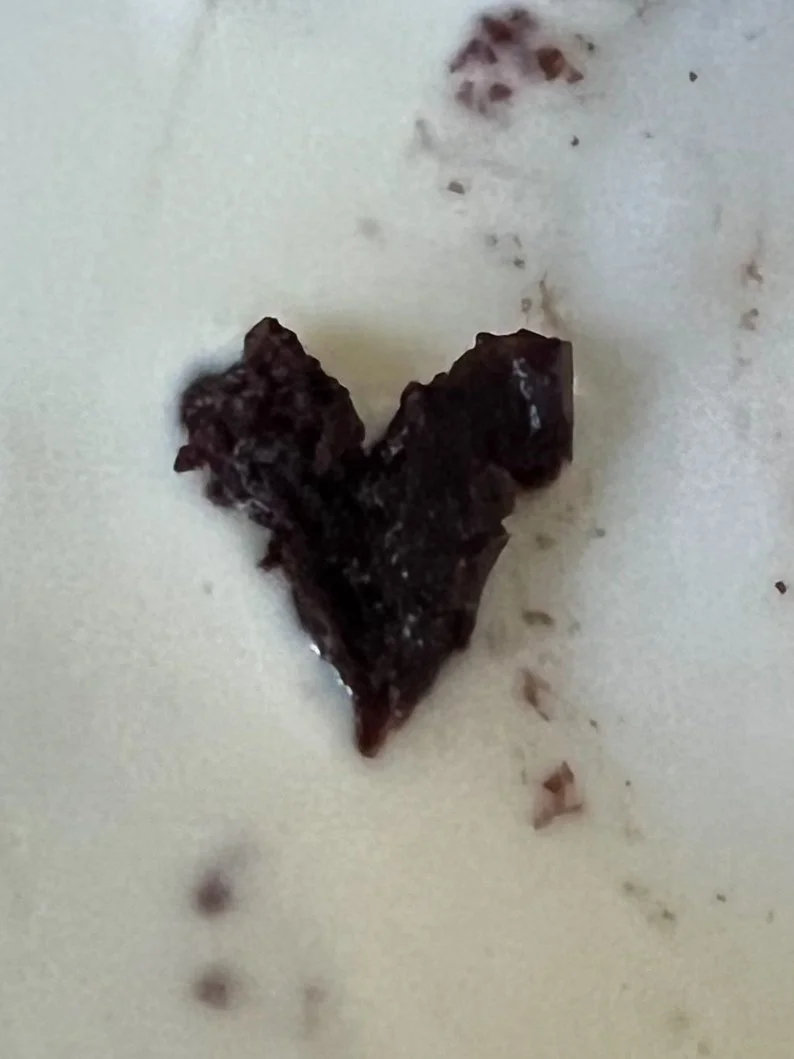 Dessert heart captured by Brittny Goodsell's sister in Utah.