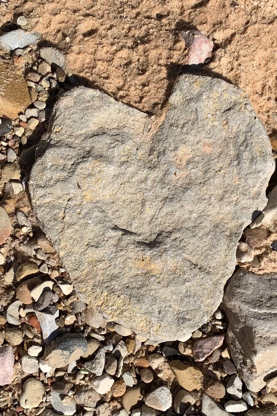 Shawn Harrison of Utah captured this heart rock in Zion National Park.