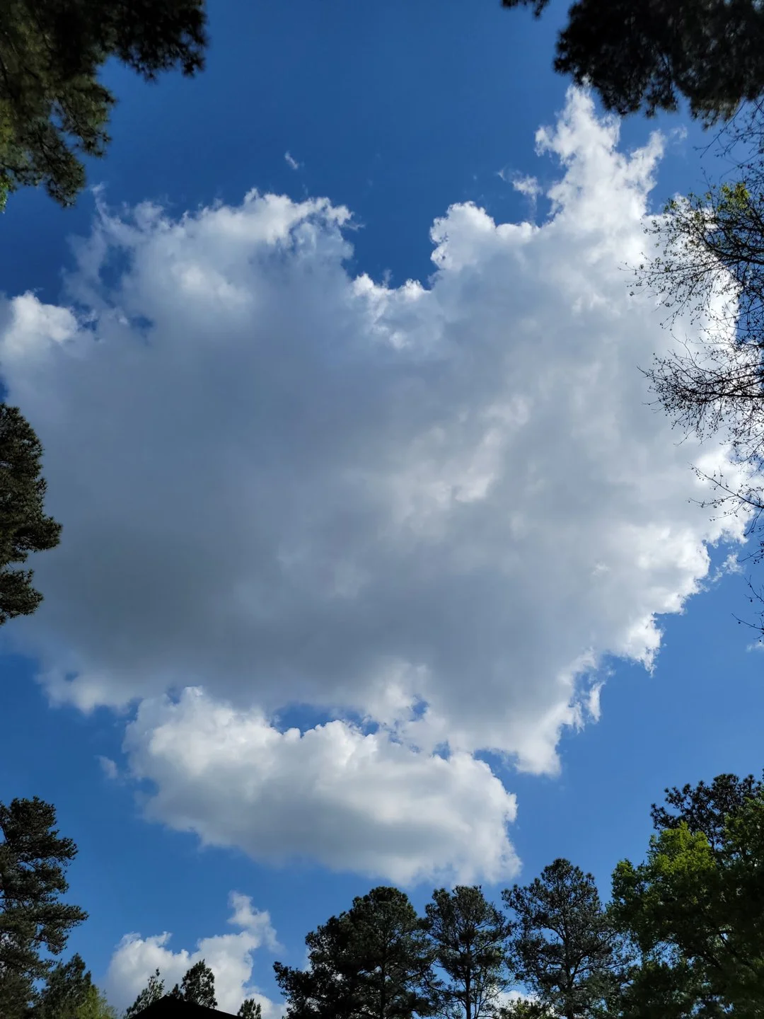 A friend of a friend named Buffy snapped this heart cloud photo after work one day and sent it along.