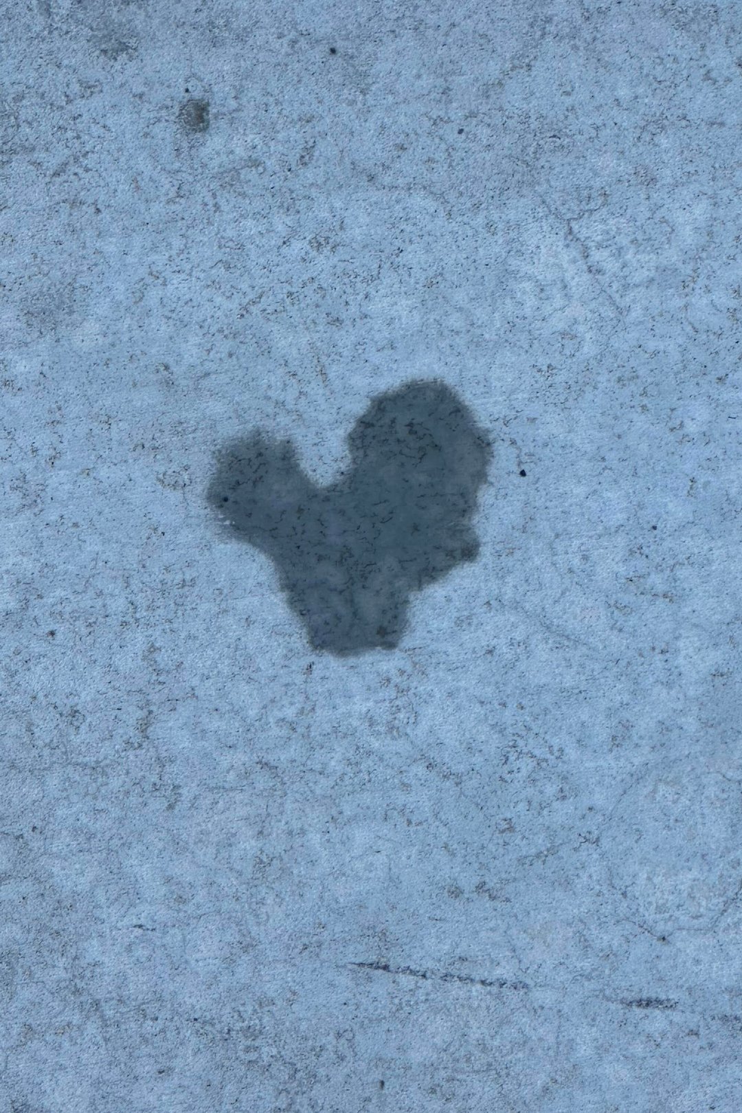 “Water drips on the sidewalk!” - Julie Farley Majoue of Utah