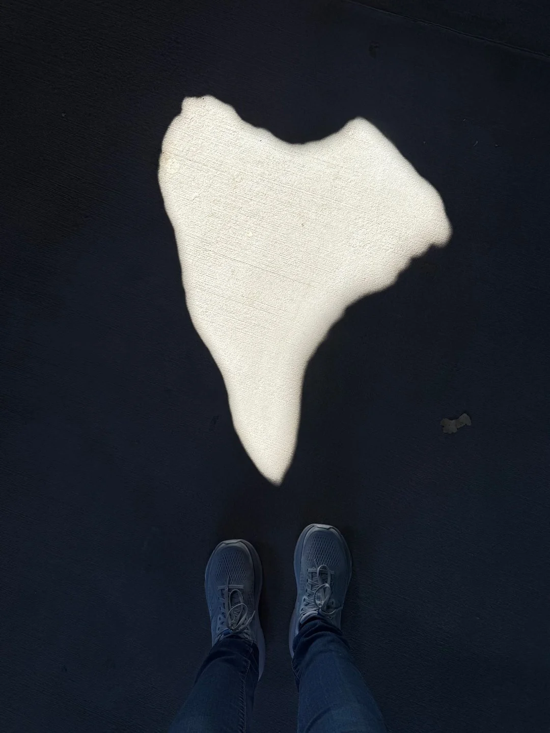 Sunlight peering through a shadowy cave at the Albuquerque Zoo.