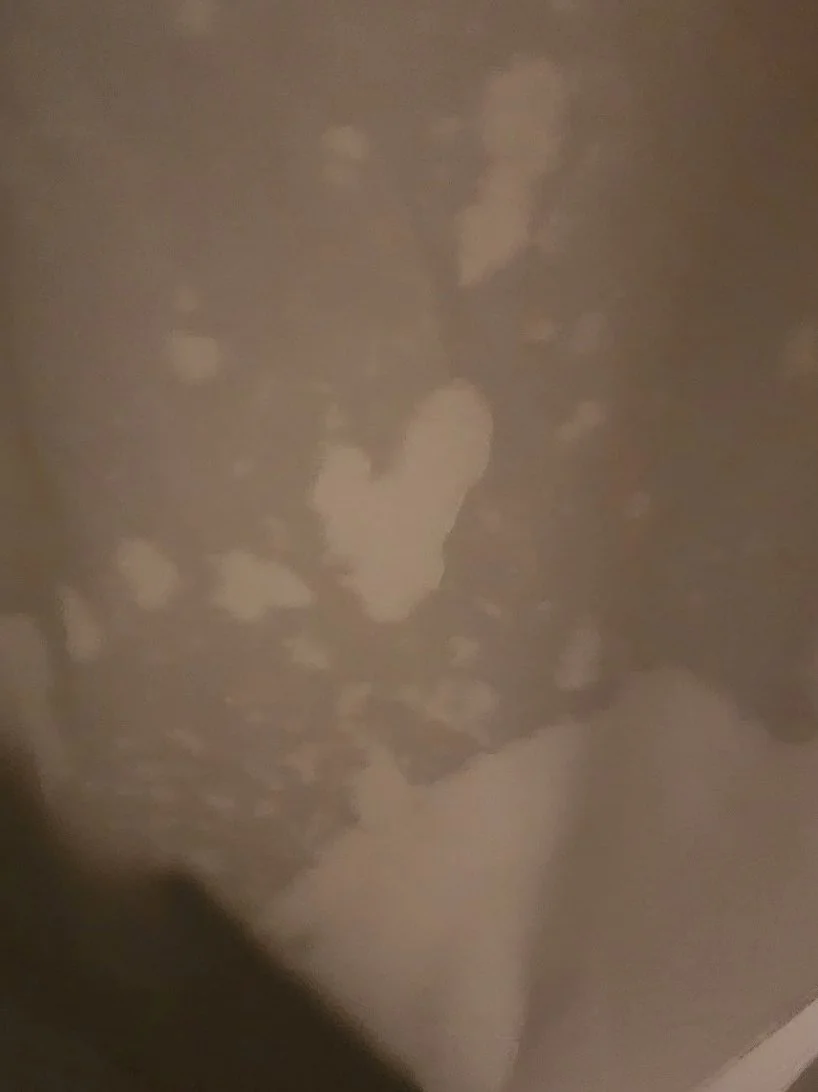 Shower curtain heart captured by Chelsea Haining of Washington.