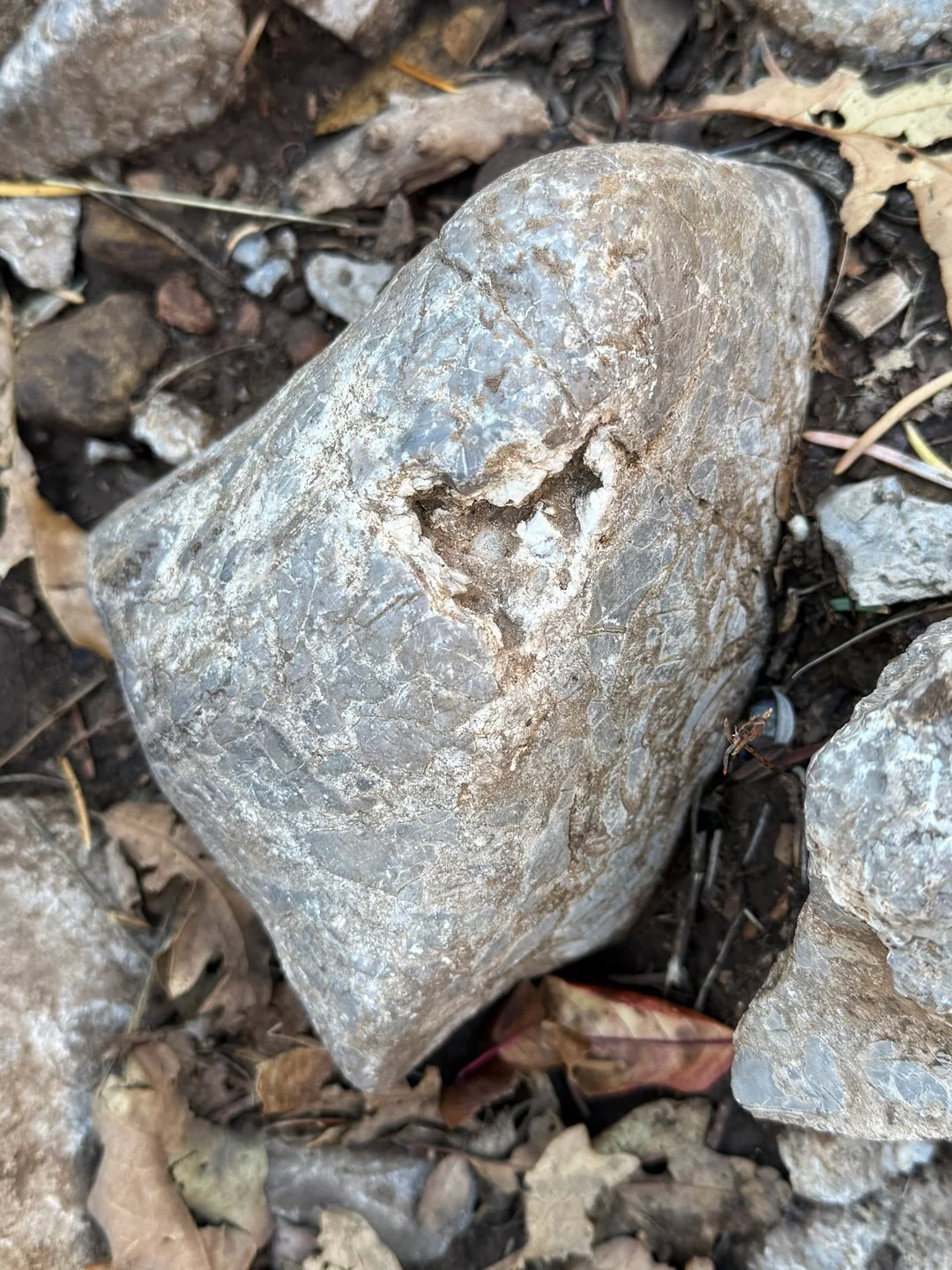 A heart carved out a rock on the Tree Springs Trail in Albuquerque.