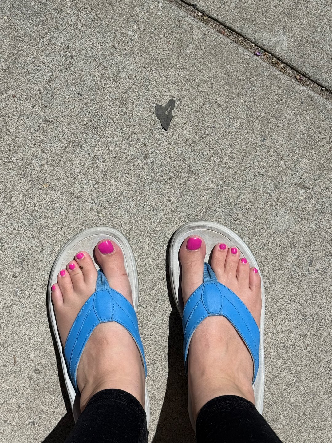 I found this heart on a walk through UNM campus.