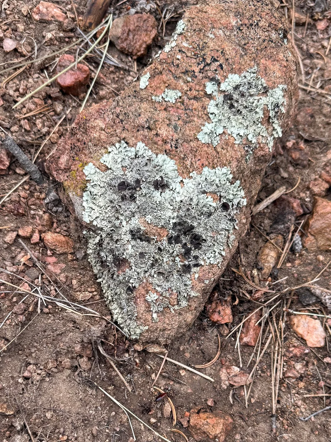 A unique heart on the Sun and Moon Trail hike in Santa Fe.