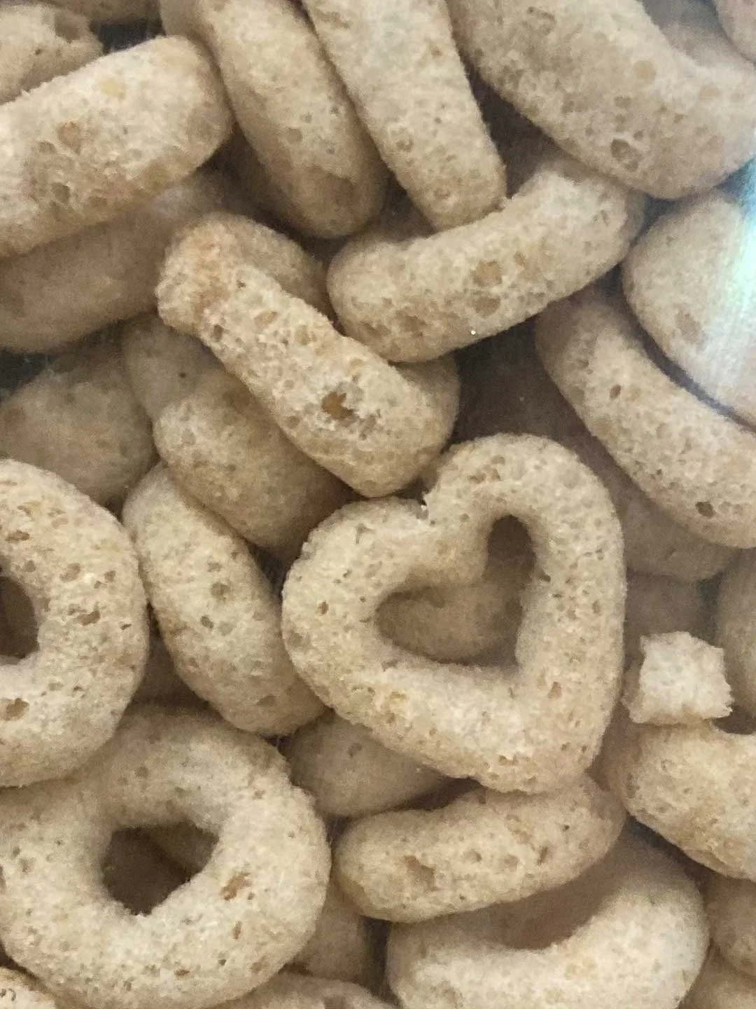 Nora Clark-Slakey found this cute heart in her Cheerios during breakfast at her college cafeteria.