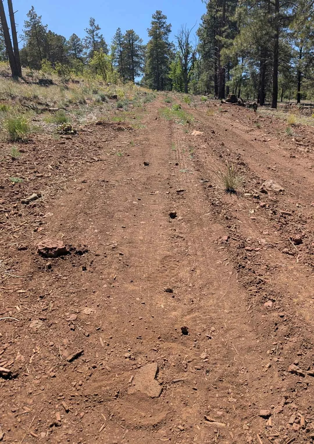 There is a sideways rock heart at the bottom of this photo. Travis Fisher found it while running near the International Kadampa Retreat Center in Arizona.