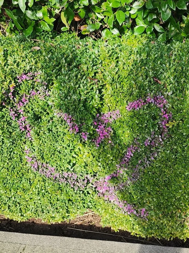 "Look what I found today!" - Chelsea Haining of Washington