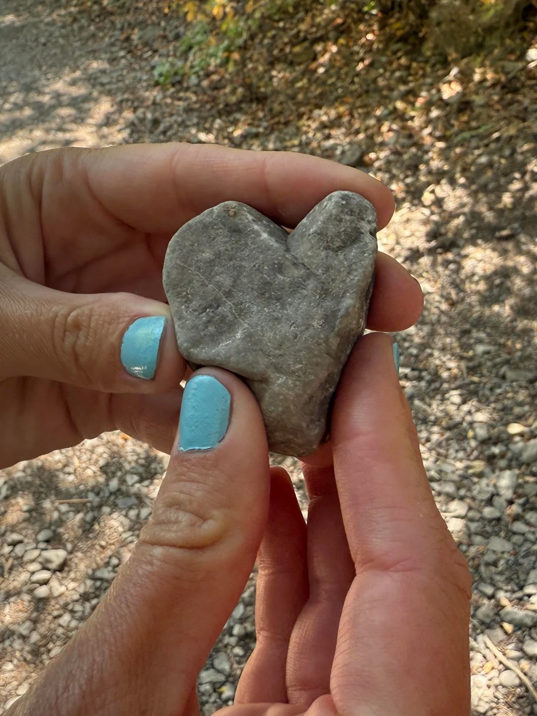 My friend Janalee found this heart rock while we were walking together on the Stokes Nature Trail in Logan, Utah.