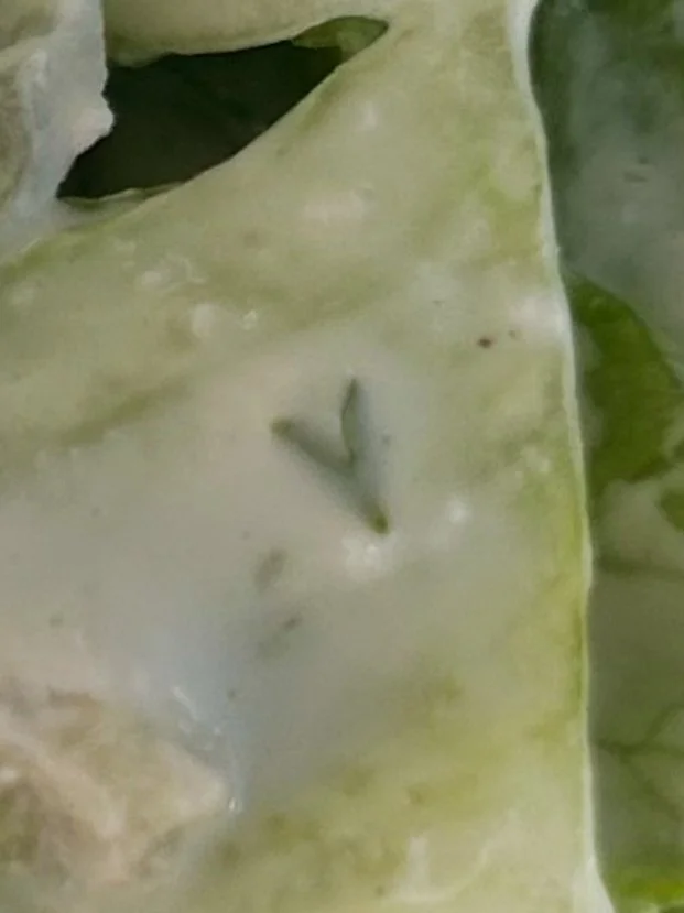 A tiny salad heart captured by Brittny Goodsell of Washington.