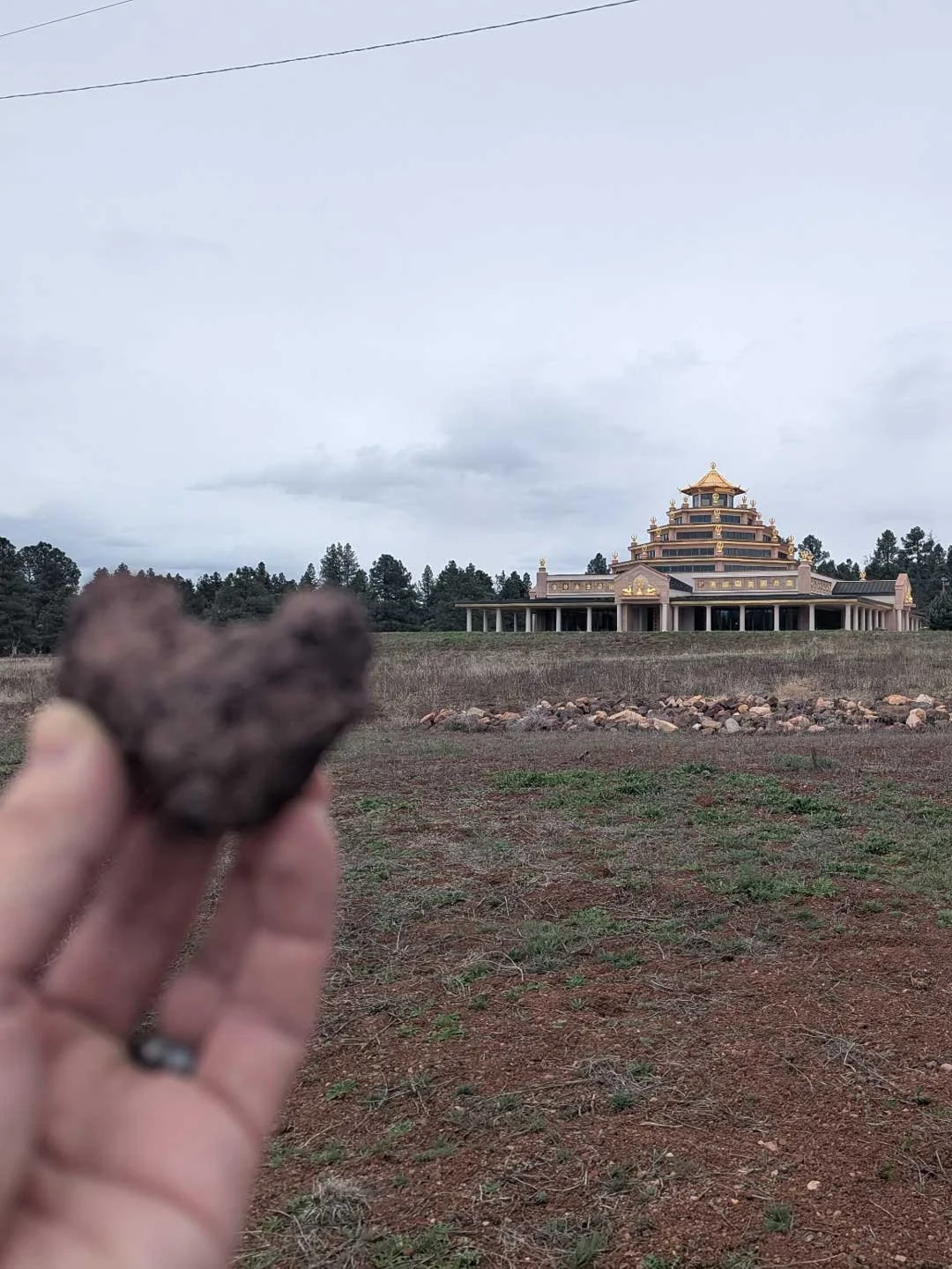 Travis Fisher found a heart rock near the International Kadampa Retreat Center in Arizona. The temple in focus is beautiful.