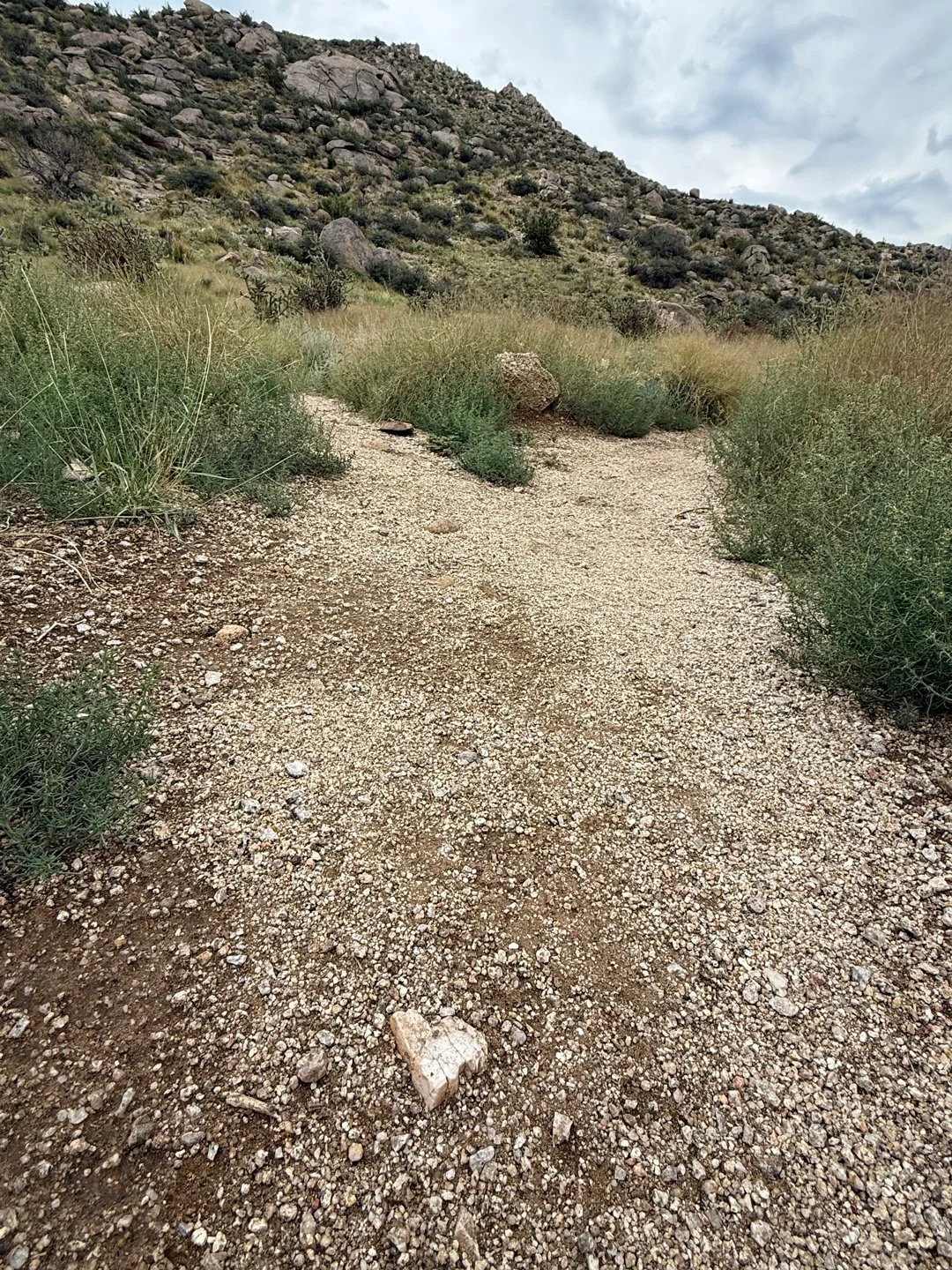 I am lucky to live by trails and some days, they greet me with love.